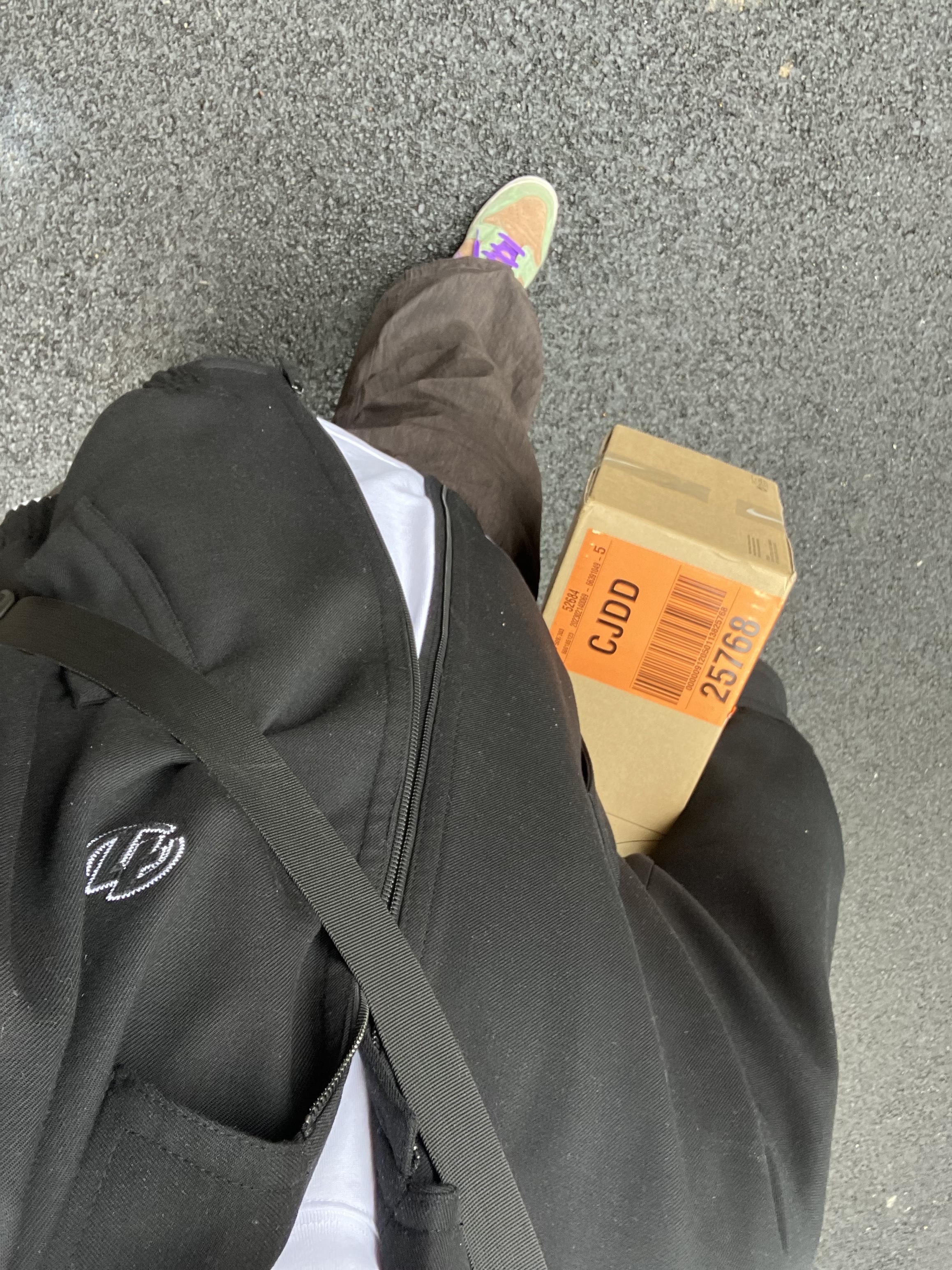 Zara x Ader Error Oversize Collar Bomber Jacket Black, Nike Dunk Low SP Veneer 착용 스타일