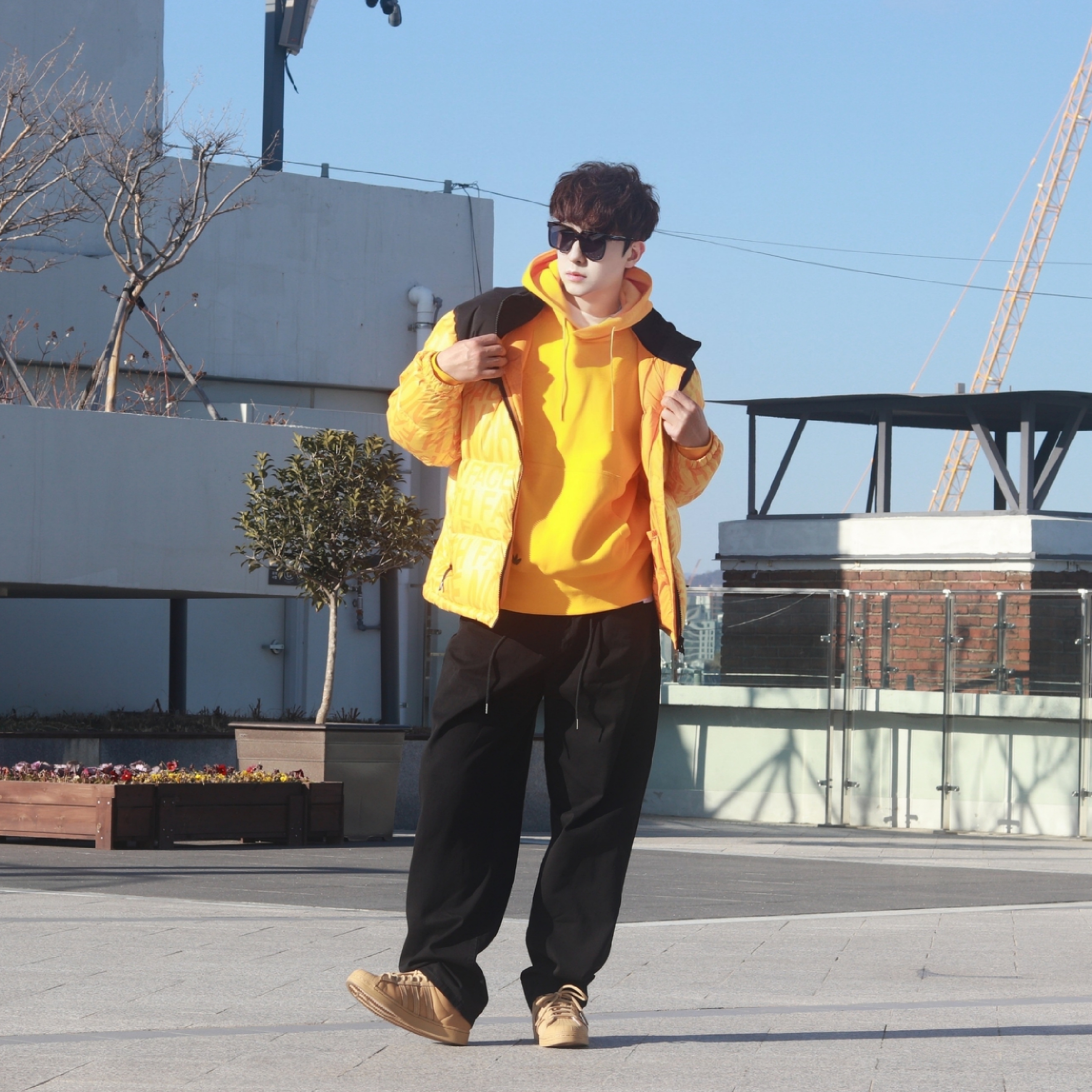 The North Face White Label Novelty Nuptse Down Jacket P Yellow, Adidas Superstar Golden Beige 착용 스타일 - 5