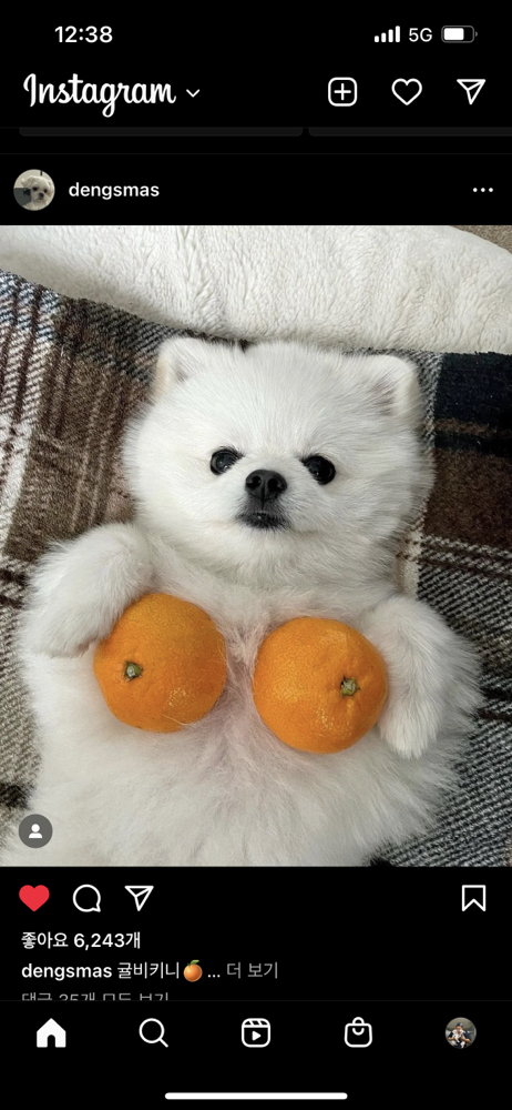 KREAM 프로필 이미지