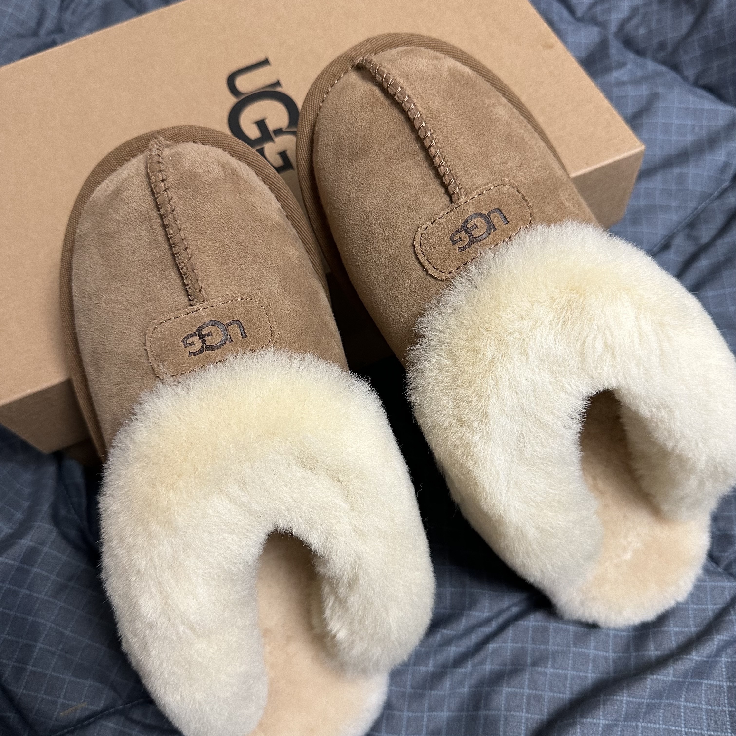 (W) UGG Coquette Slipper Chestnut 착용 스타일 - 2