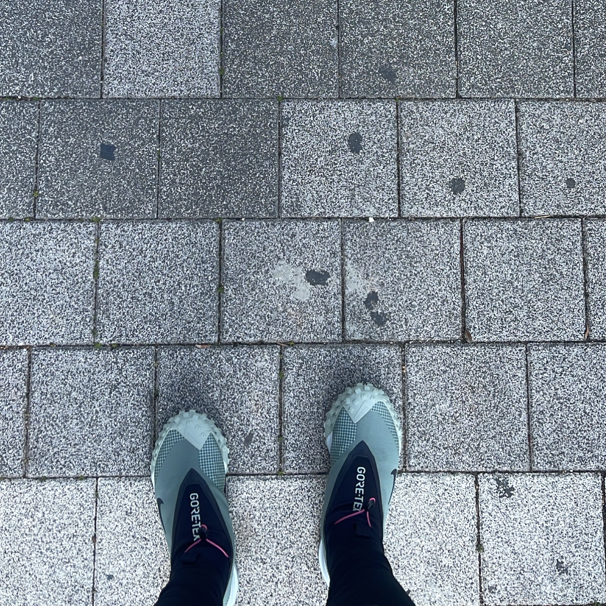 Nike ACG Mountain Fly Gore-Tex Clay Green 착용 스타일