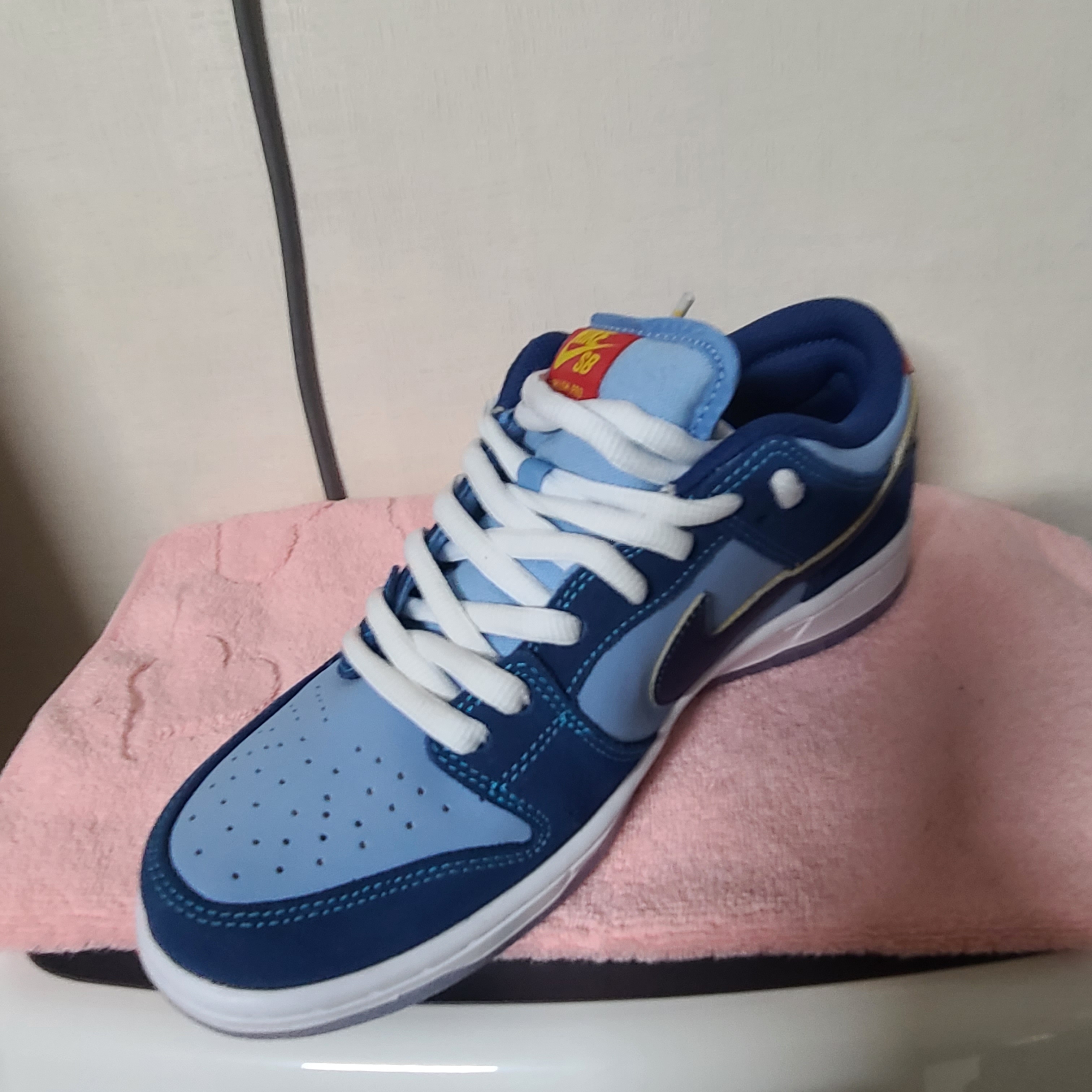 Nike x Why So Sad? SB Dunk Low Pro Coastal Blue 착용 스타일