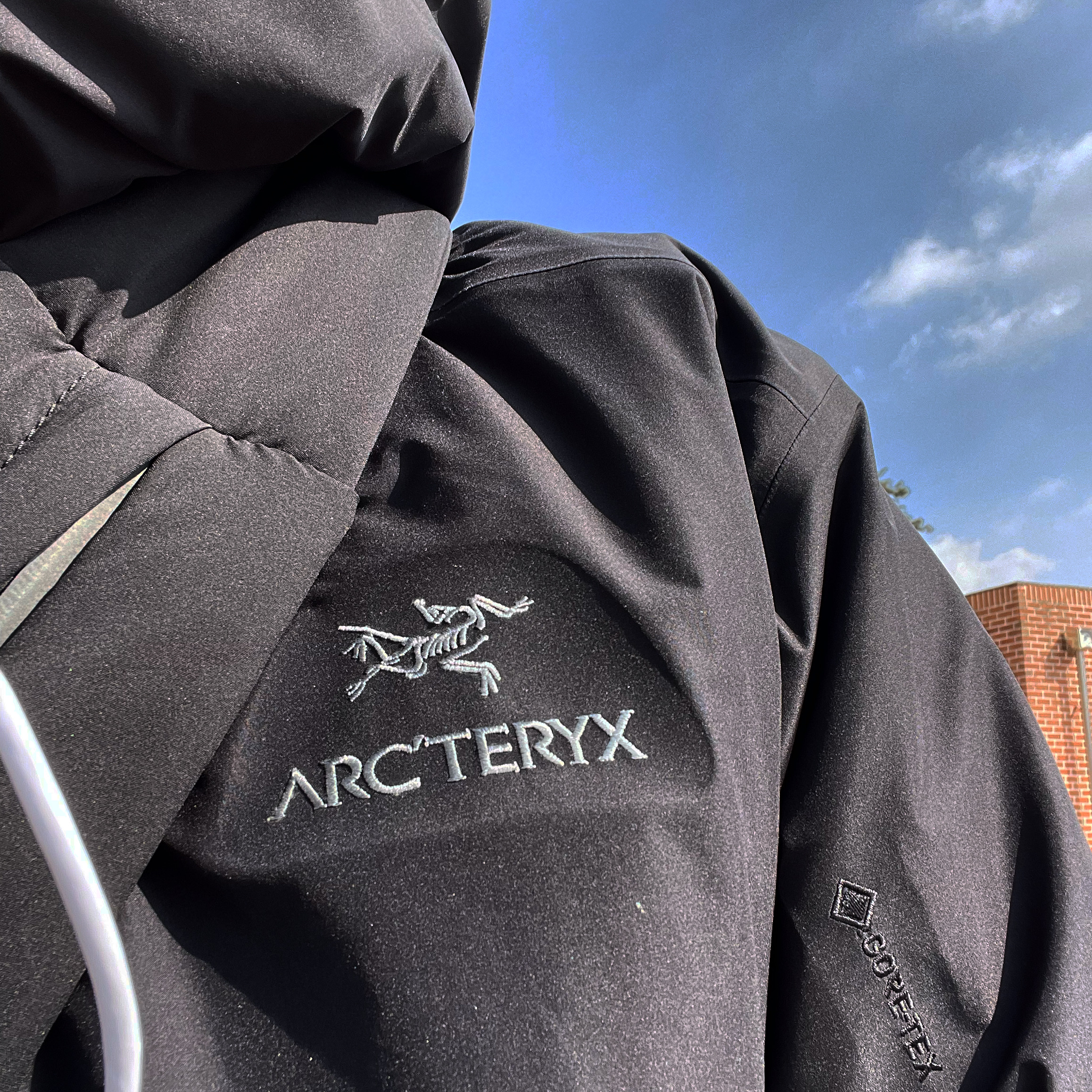 Arc'teryx Beta LT Jacket Black, Yeezy Gap Engineered By Balenciaga Snake Bag Black 착용 스타일