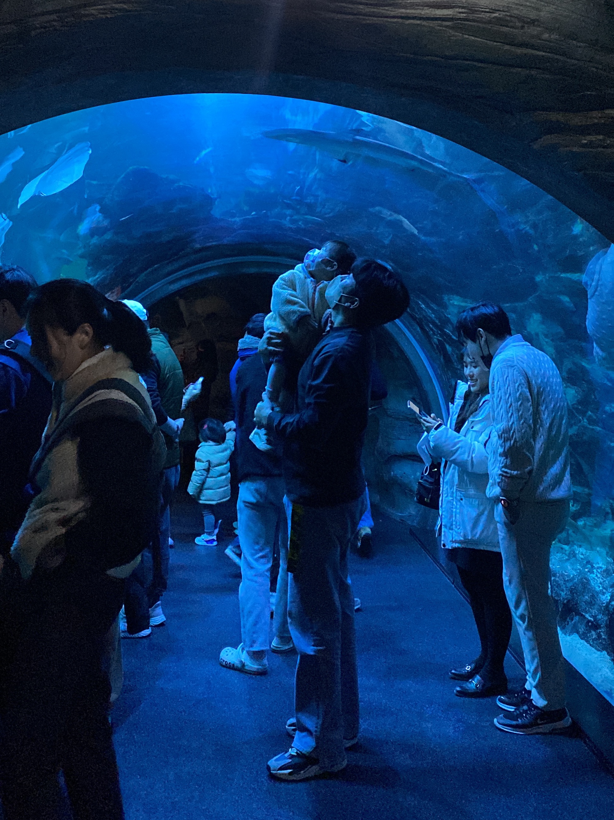 Essentials The Core Collection Long Sleeve T-Shirt Black, Adidas Yeezy Boost 700 Wave Runner Solid Grey 2017/2019 착용 스타일