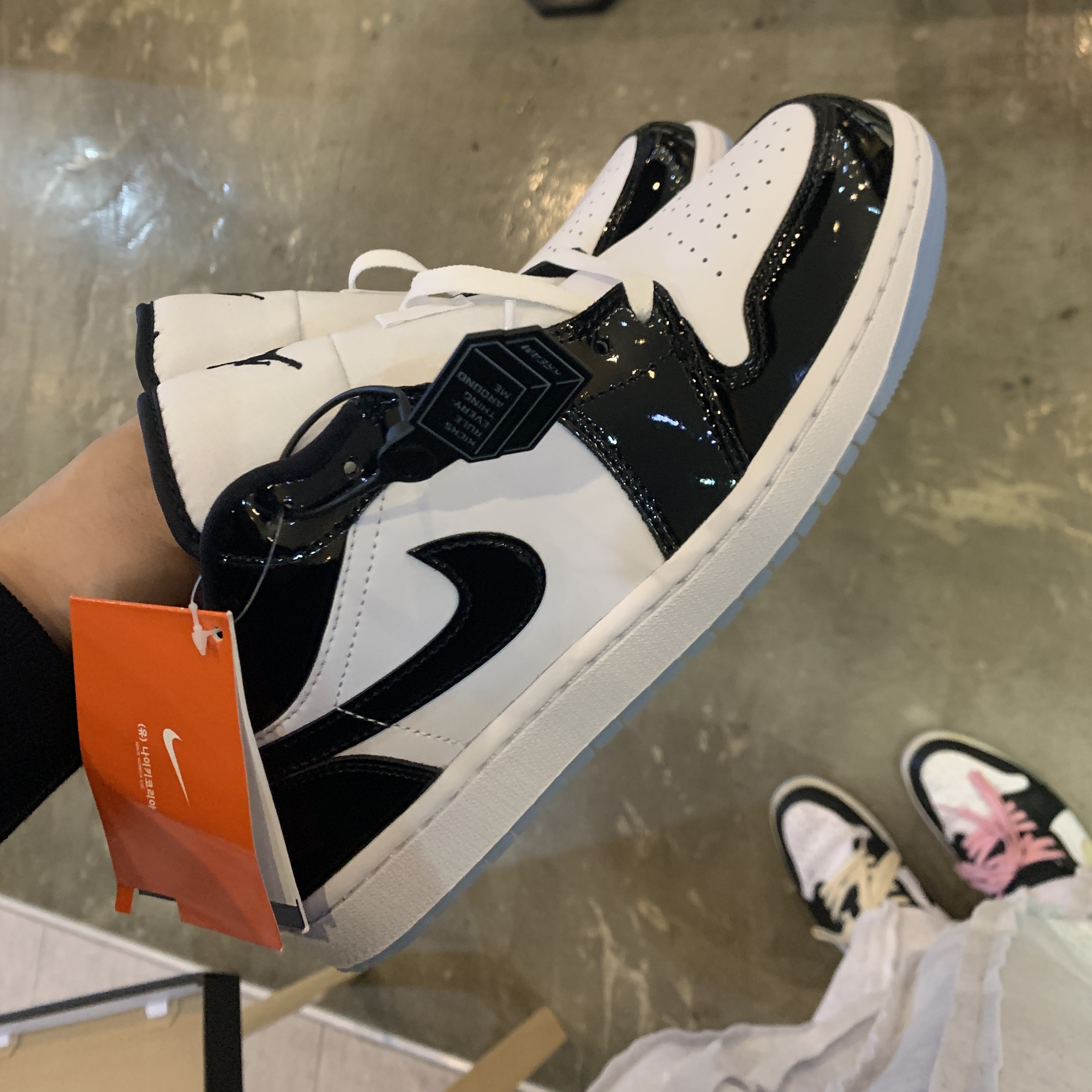 Jordan 1 Low SE Concord 착용 스타일