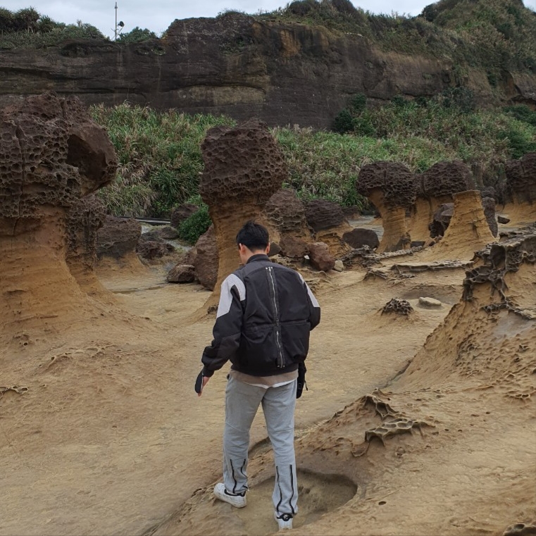 Undermycar Wani Kame Multi Block Pocket Turtle Bomber Driftwood - 22FW 착용 스타일