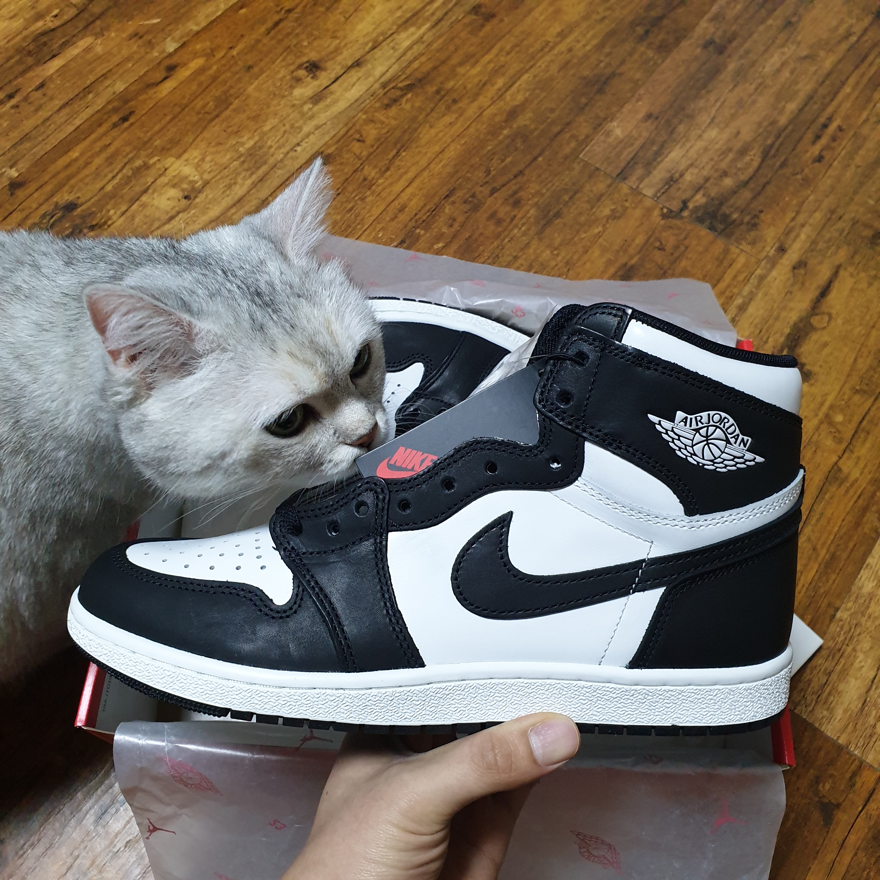 Jordan 1 High 85 Black White 착용 스타일 - 2