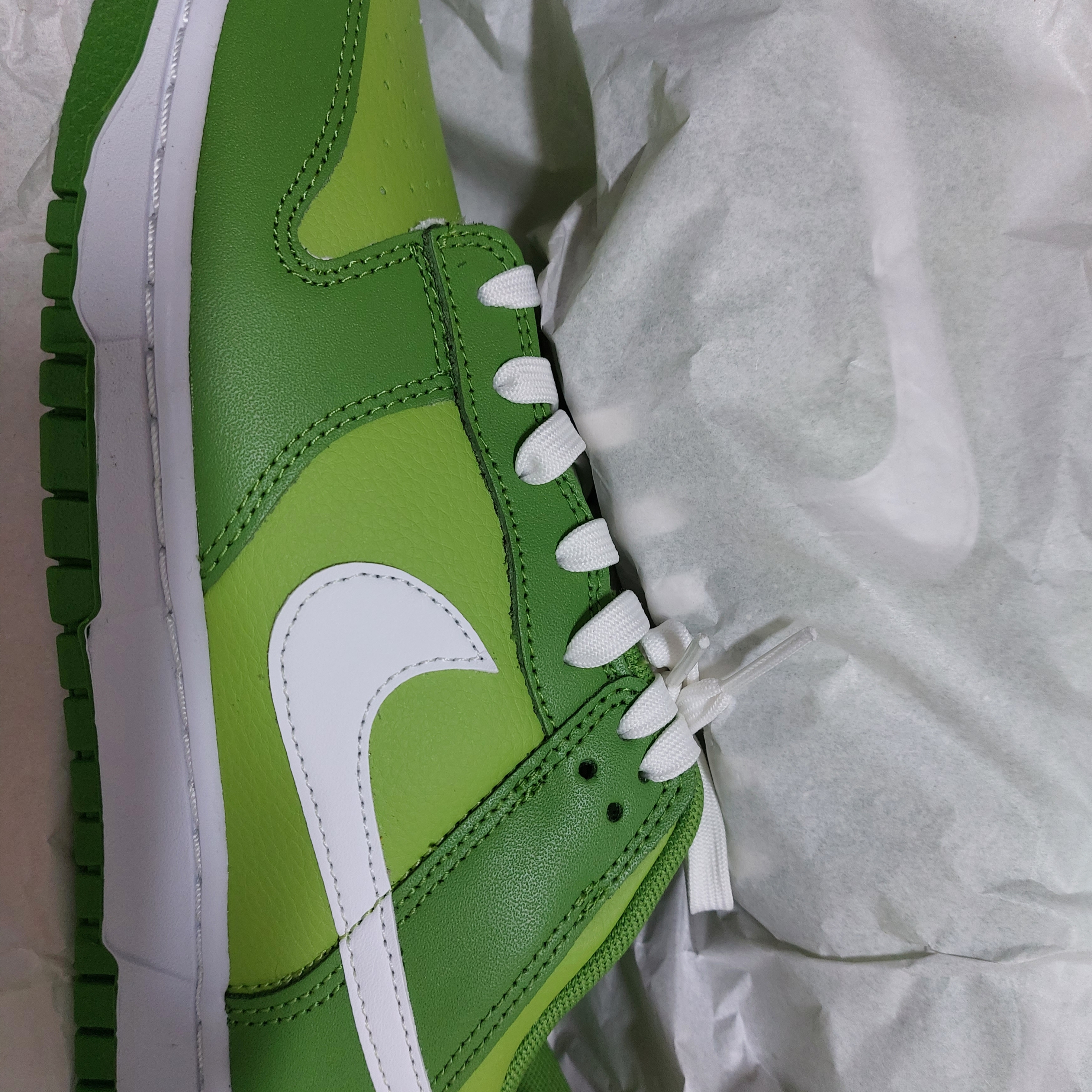 Nike Dunk Low Retro Vivid Green 착용 스타일
