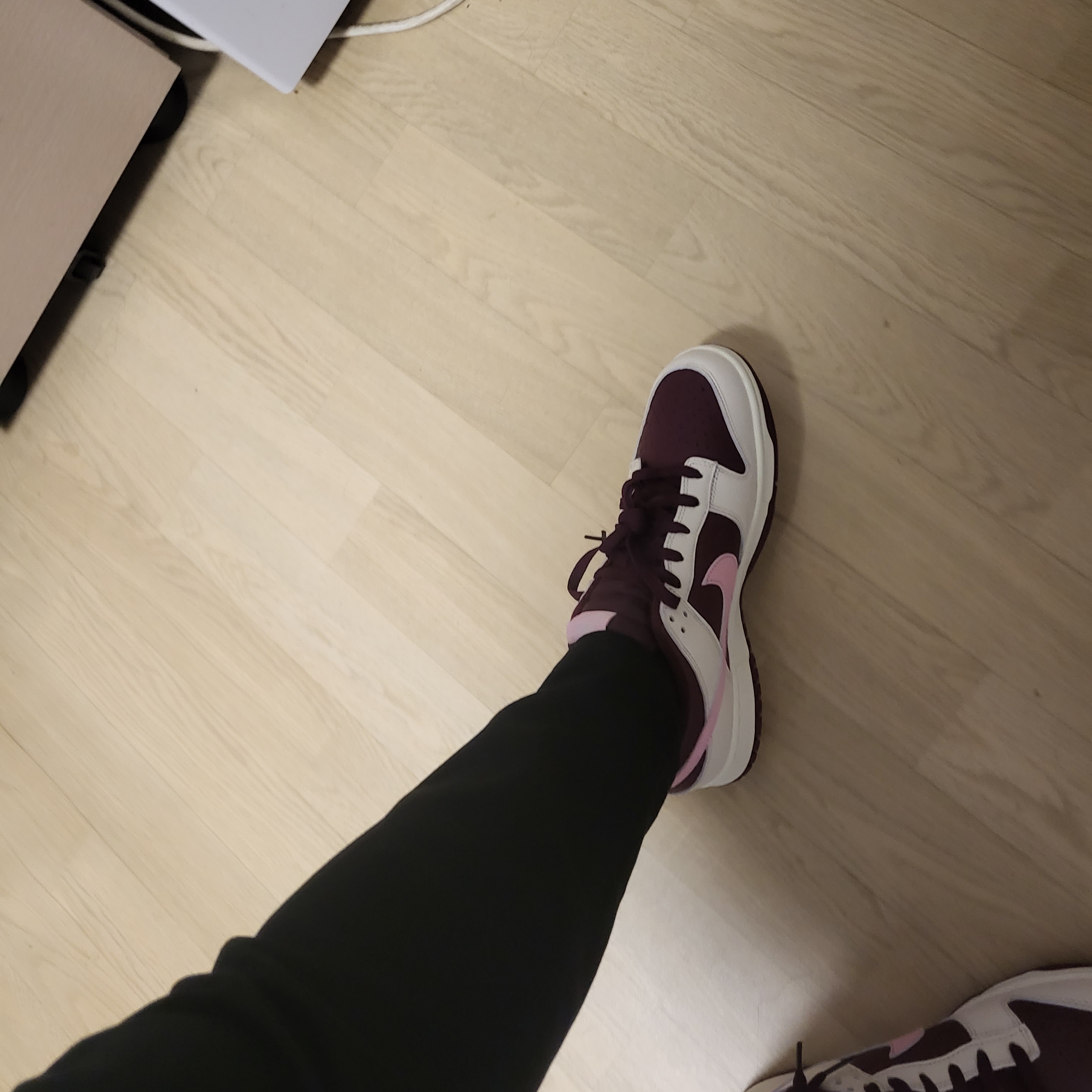 NIke Dunk Low Retro Night Maroon and Medium Soft Pink 착용 스타일 - 5