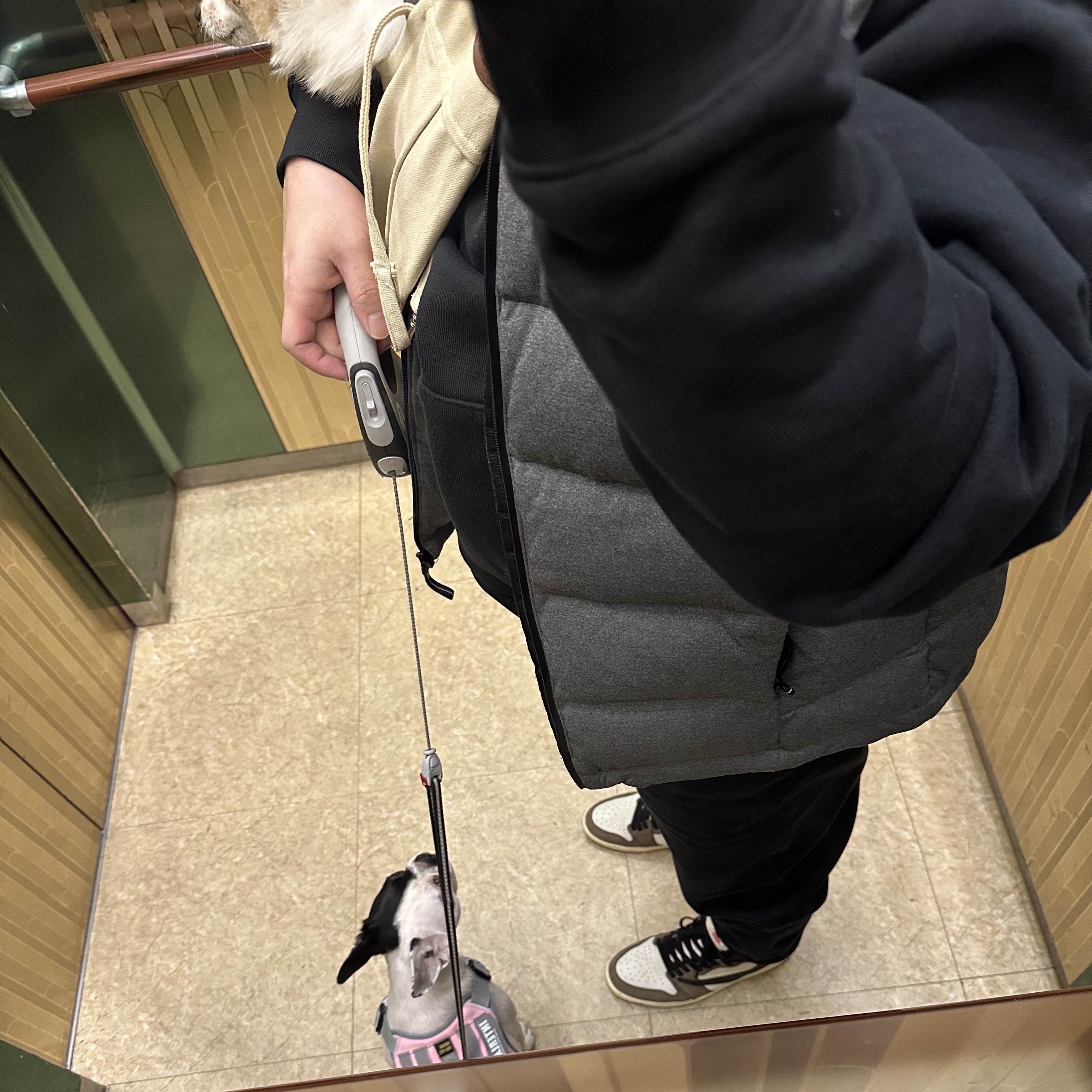 Jordan 1 x Travis Scott Retro High OG SP Mocha, Nike NRG Solo Swoosh Fleece Pants Black White - Asia 착용 스타일 - 2