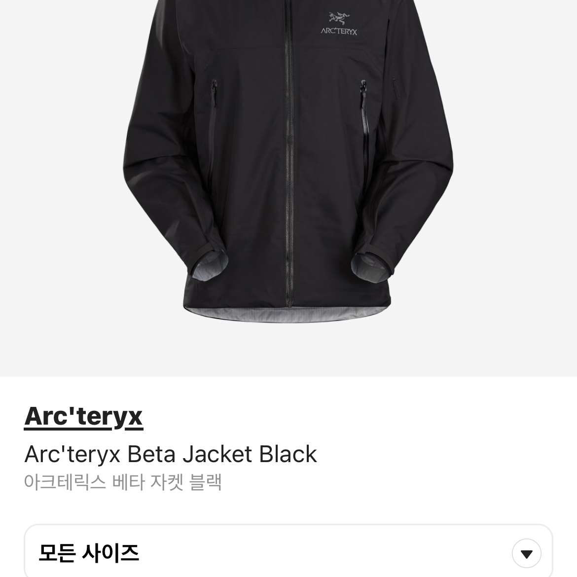 Arc'teryx Beta Jacket Black 착용 스타일