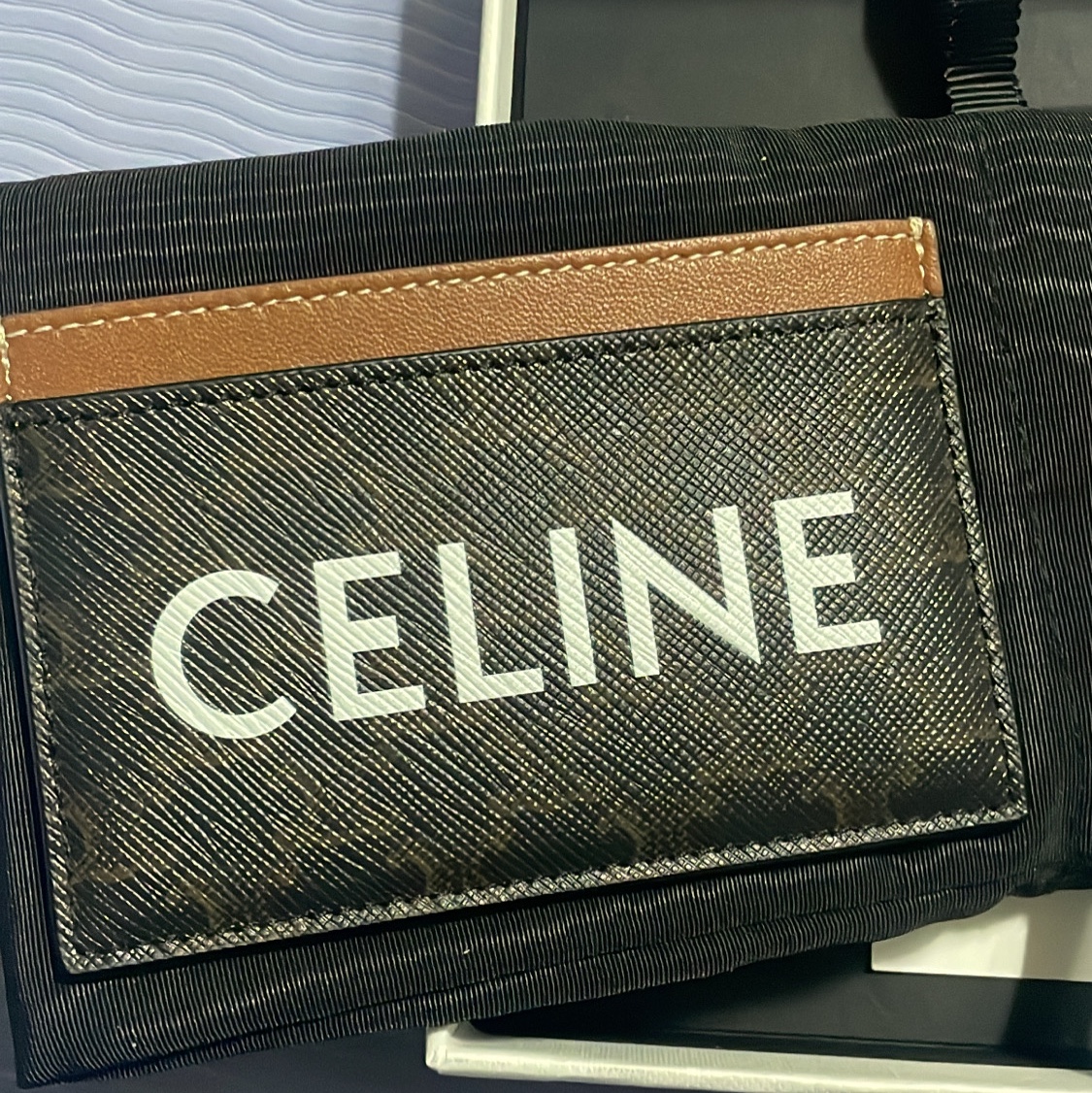 Celine Card Holder in Triomphe Canvas with Celine Print Tan 착용 스타일