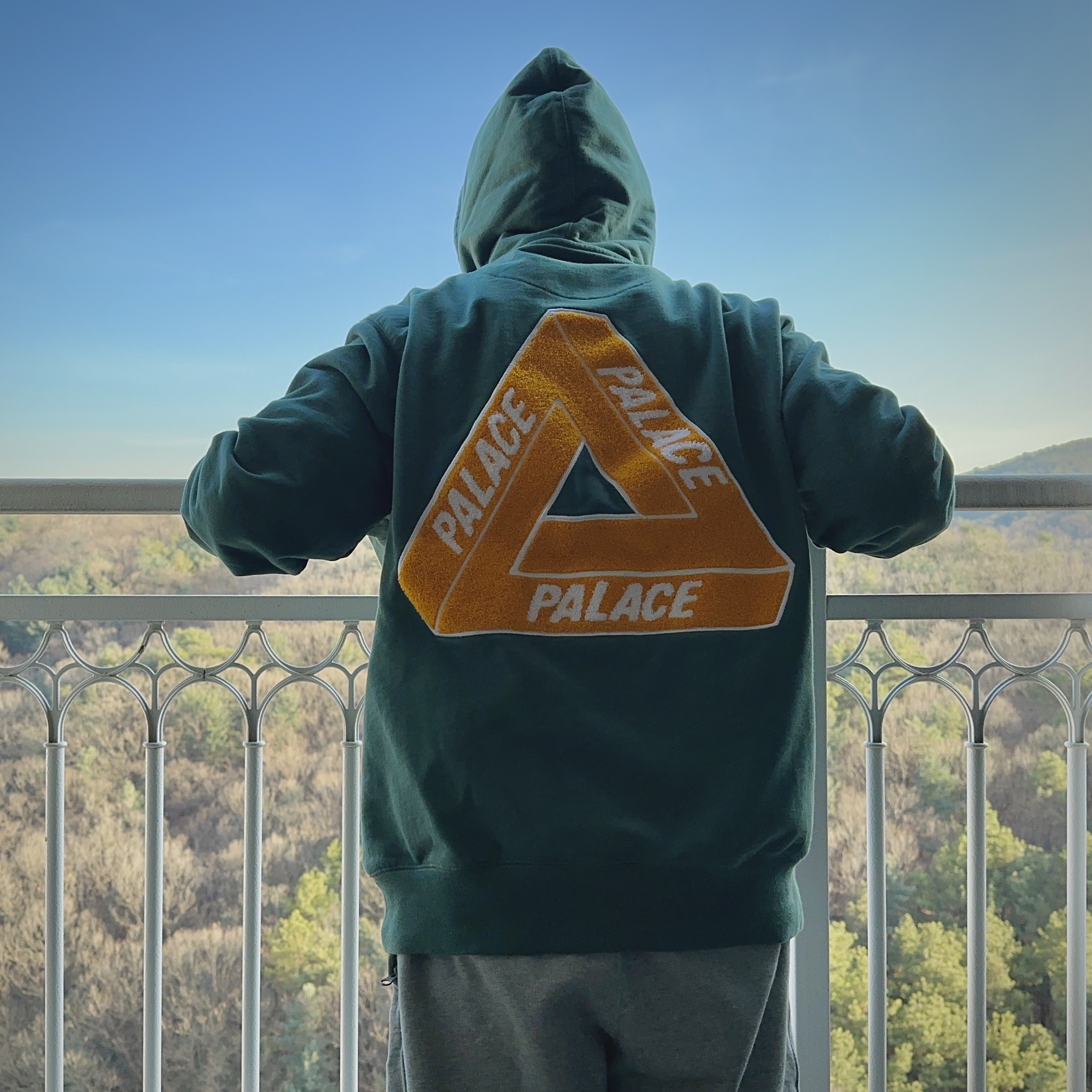 Palace Tri-Chenille Hood Green - 21FW 착용 스타일