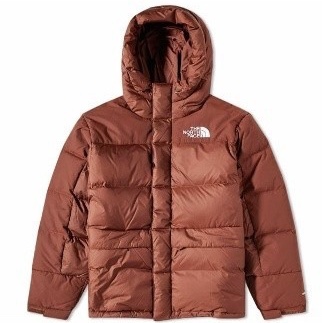 The North Face Himalayan Down Parka Dark Oak 착용 스타일