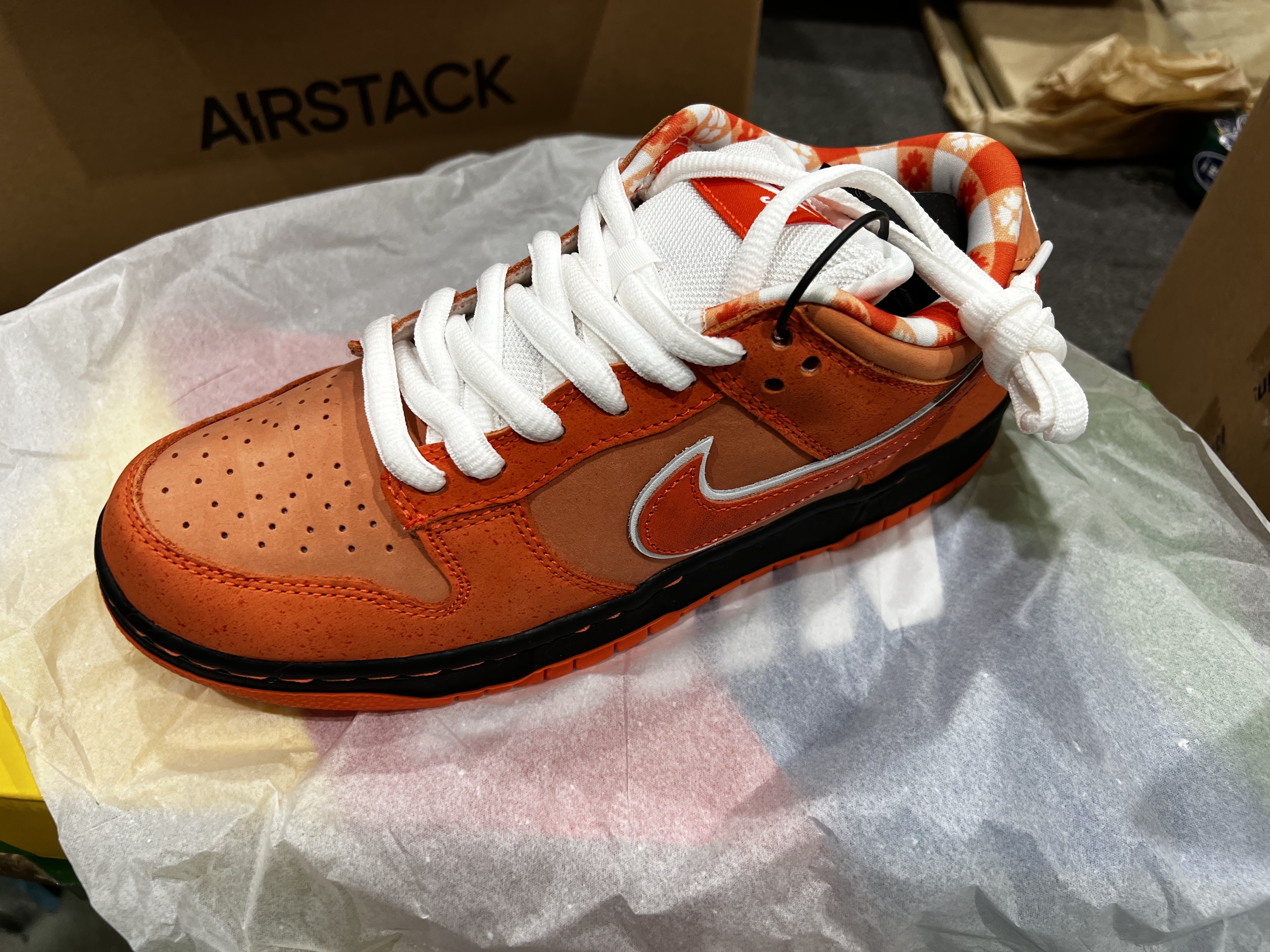 Nike x Concepts SB Dunk Low Orange Lobster (Regular Box) 착용 스타일