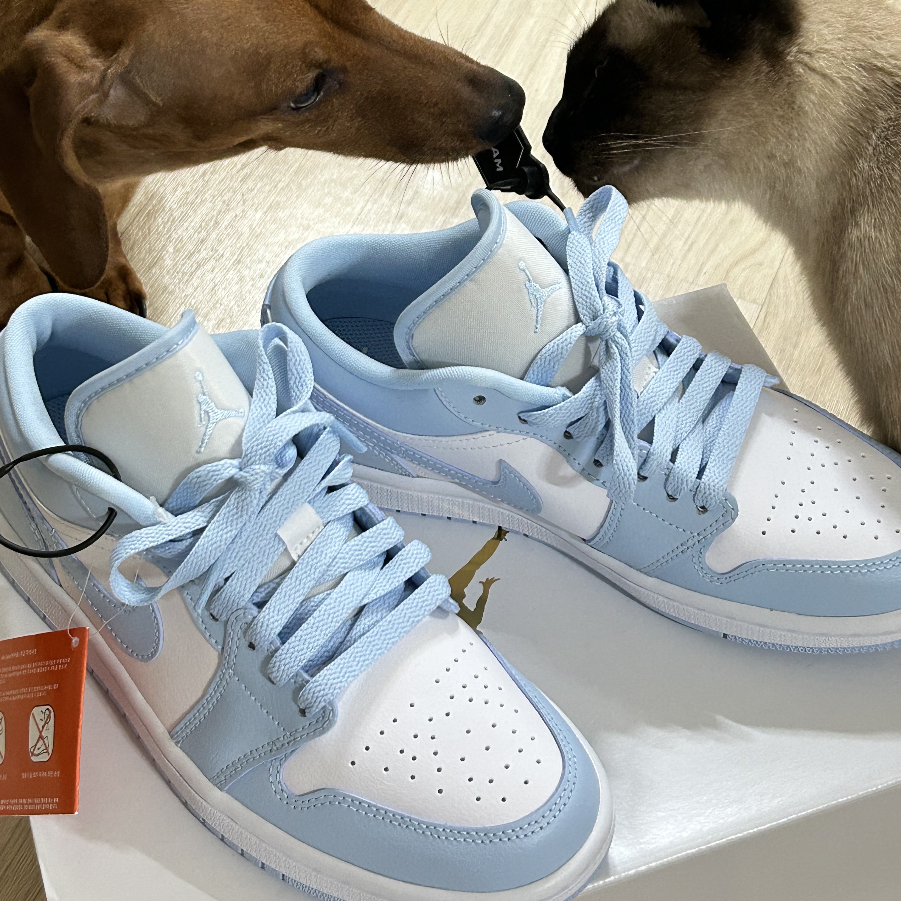 (W) Jordan 1 Low White Ice Blue 착용 스타일 - 1
