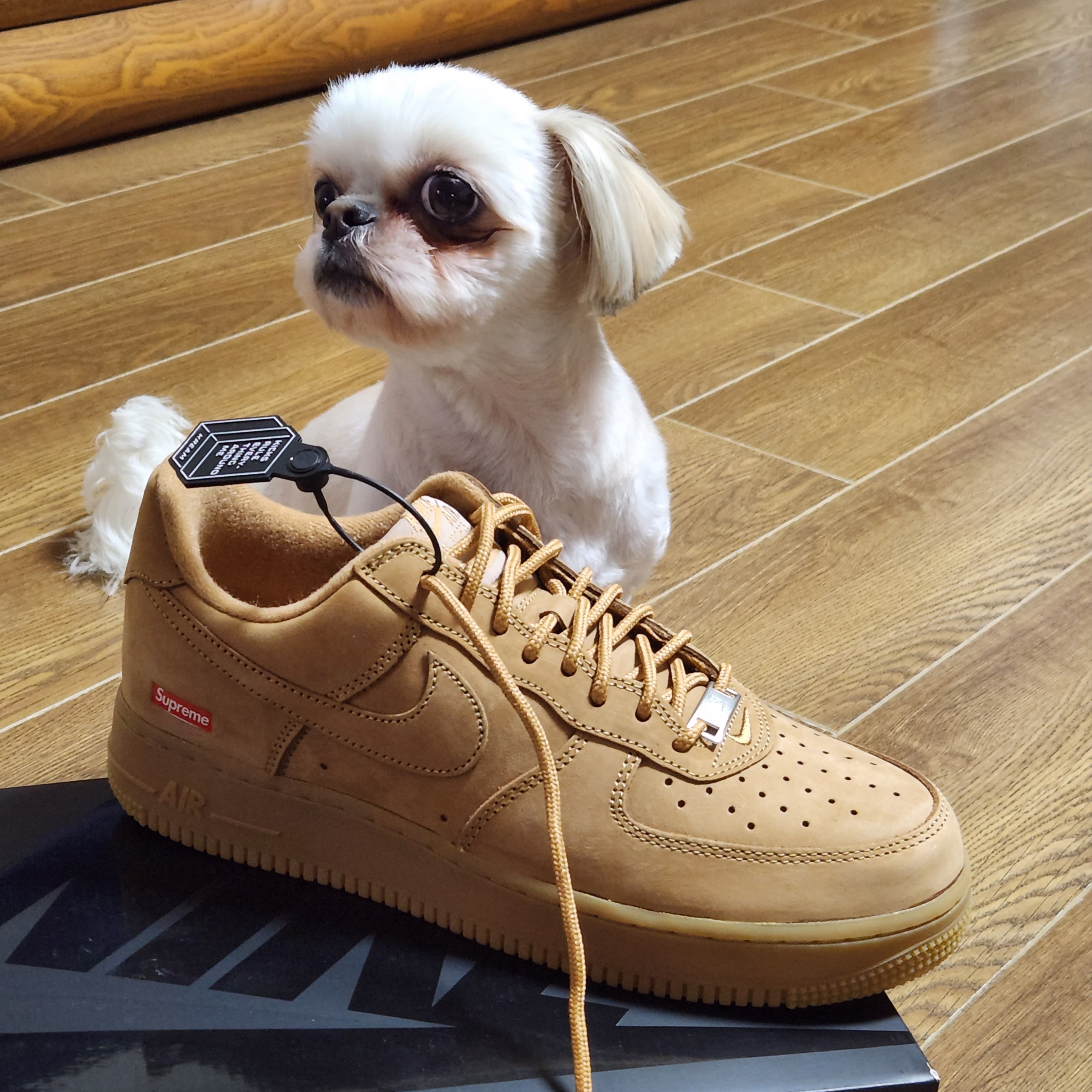 Nike x Supreme Air Force 1 Low Flax 착용 스타일