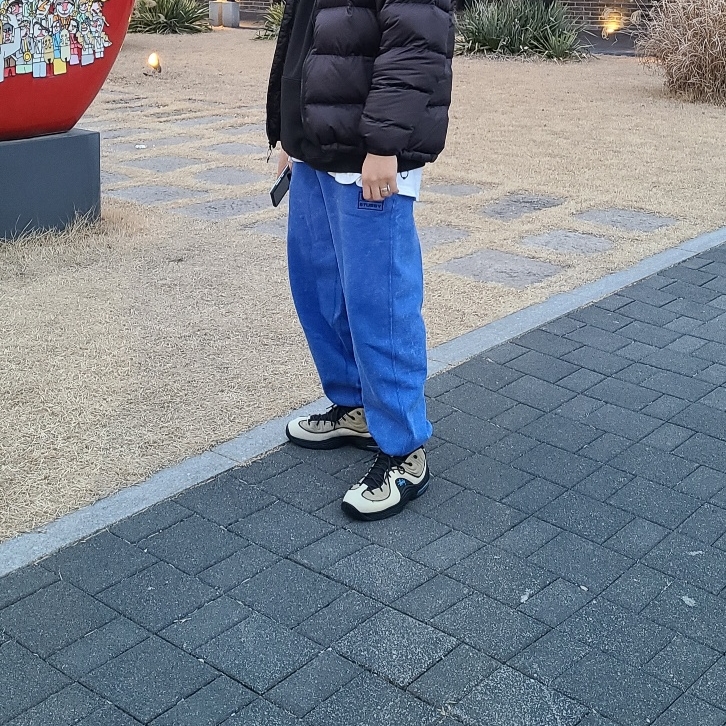 Nike x Stussy NRG Acid Washed Fleece Pants Game Royal (DR4025-480), Nike x Stussy Air Penny II Rattan and Limestone 착용 스타일 - 2