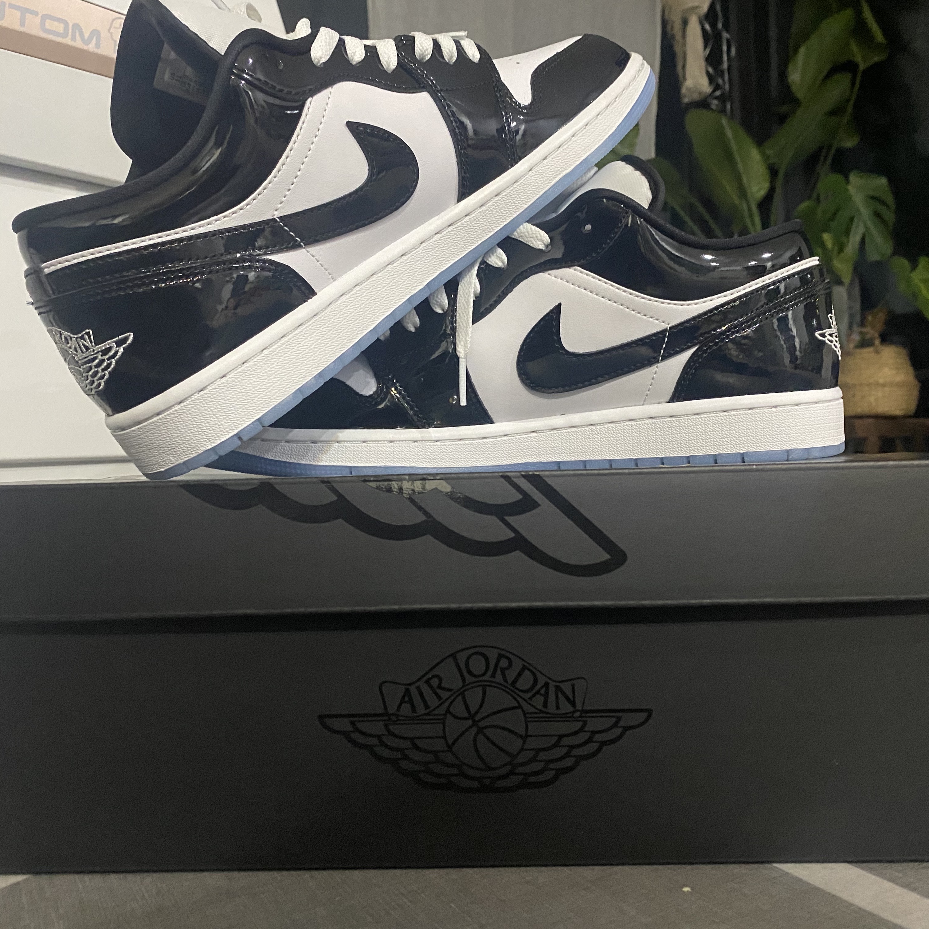 Jordan 1 Low SE Concord 착용 스타일