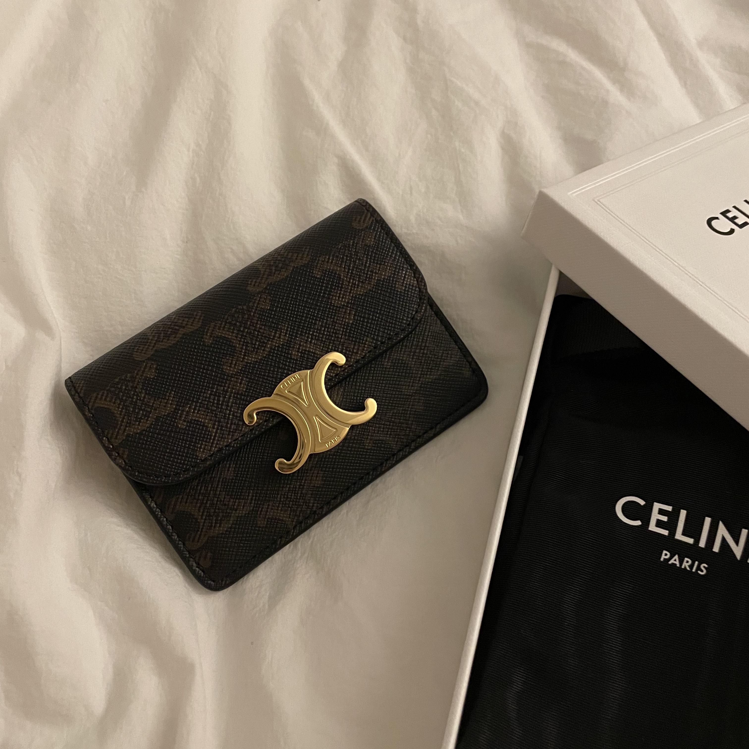 Celine Card Holder with Flap in Triomphe Canvas Tan 착용 스타일