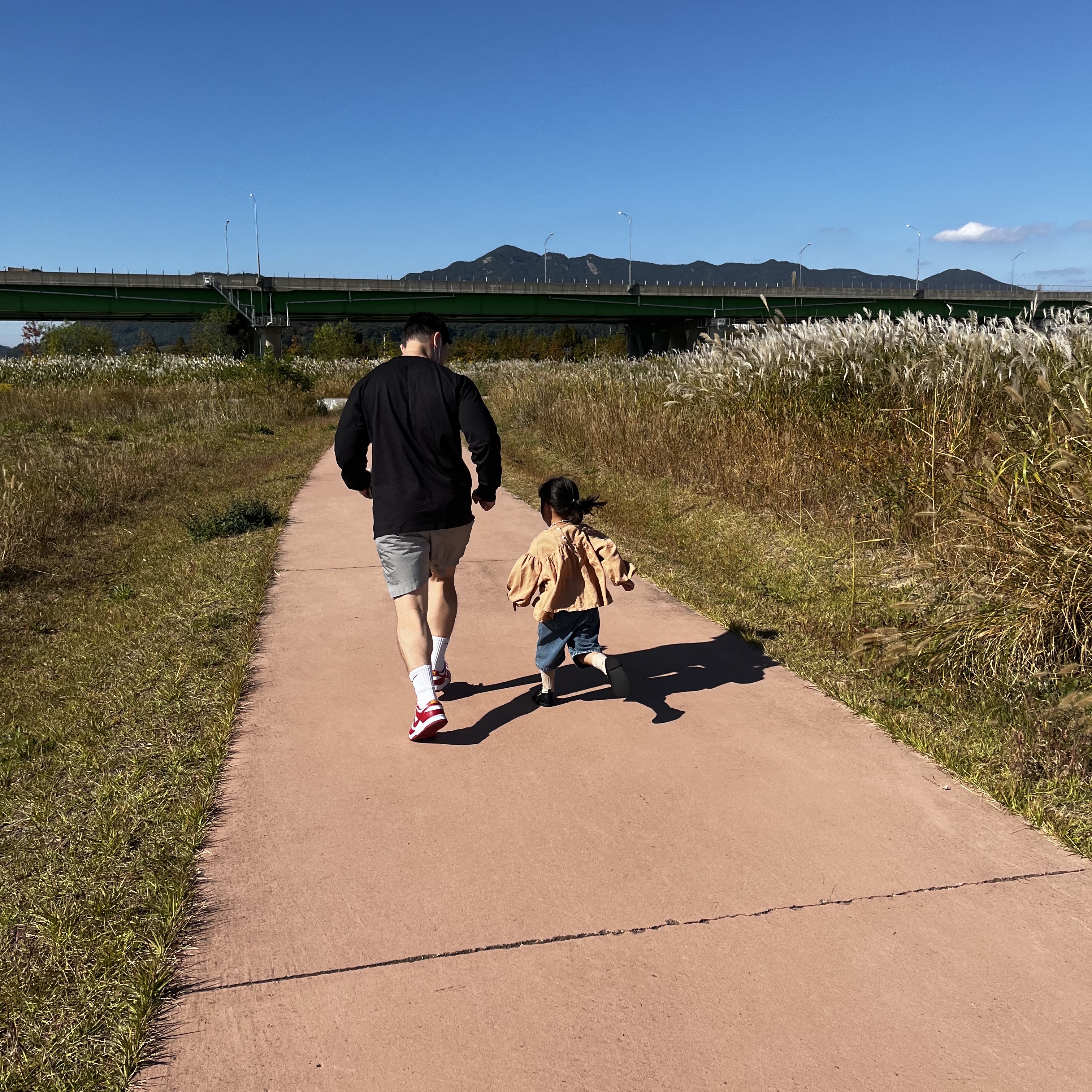 Nike Dunk Low Retro Gym Red, IAB Studio Woven Shorts Gray 착용 스타일