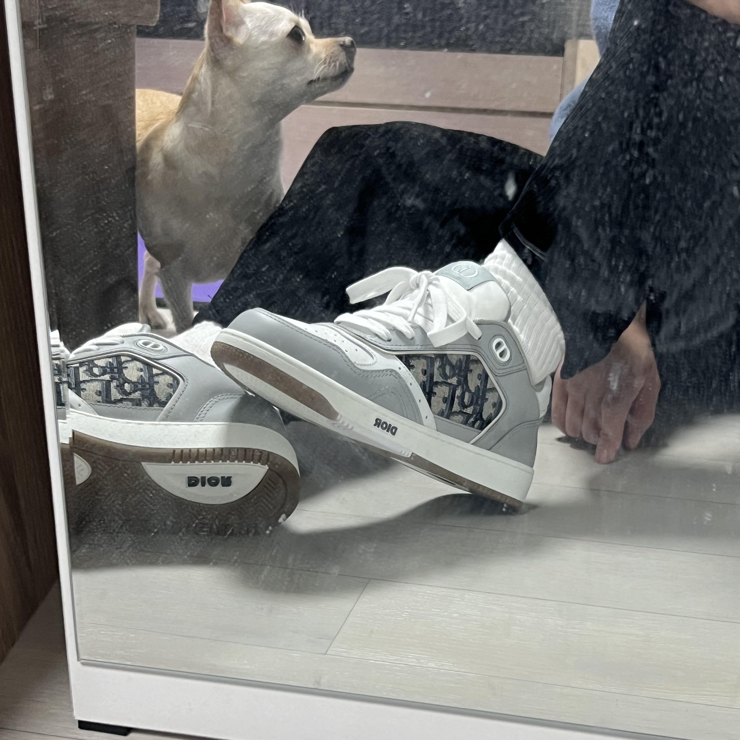Dior B27 Low-Top Sneakers Gray 착용 스타일