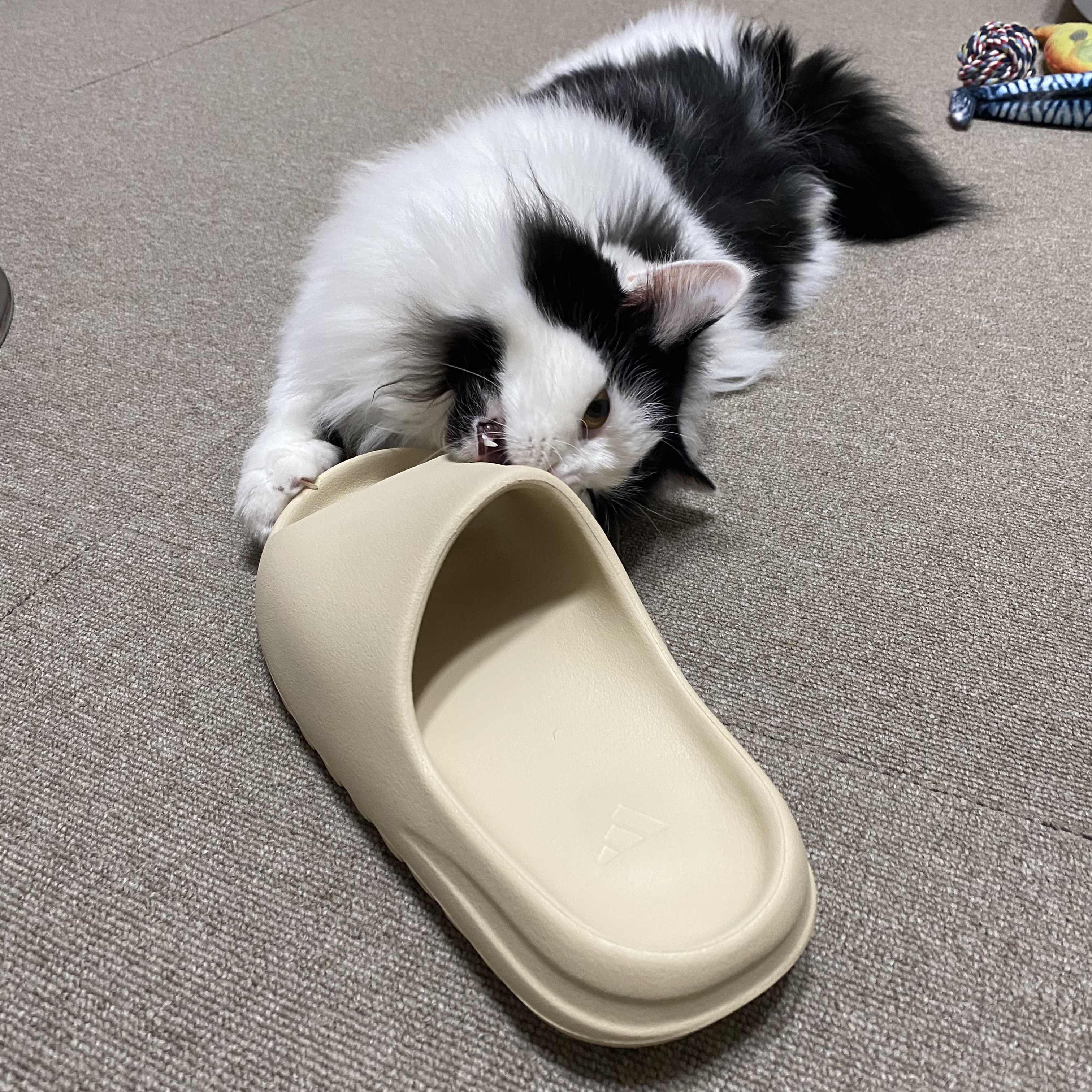 Adidas Yeezy Slide Bone 2022/2023 착용 스타일 - 2