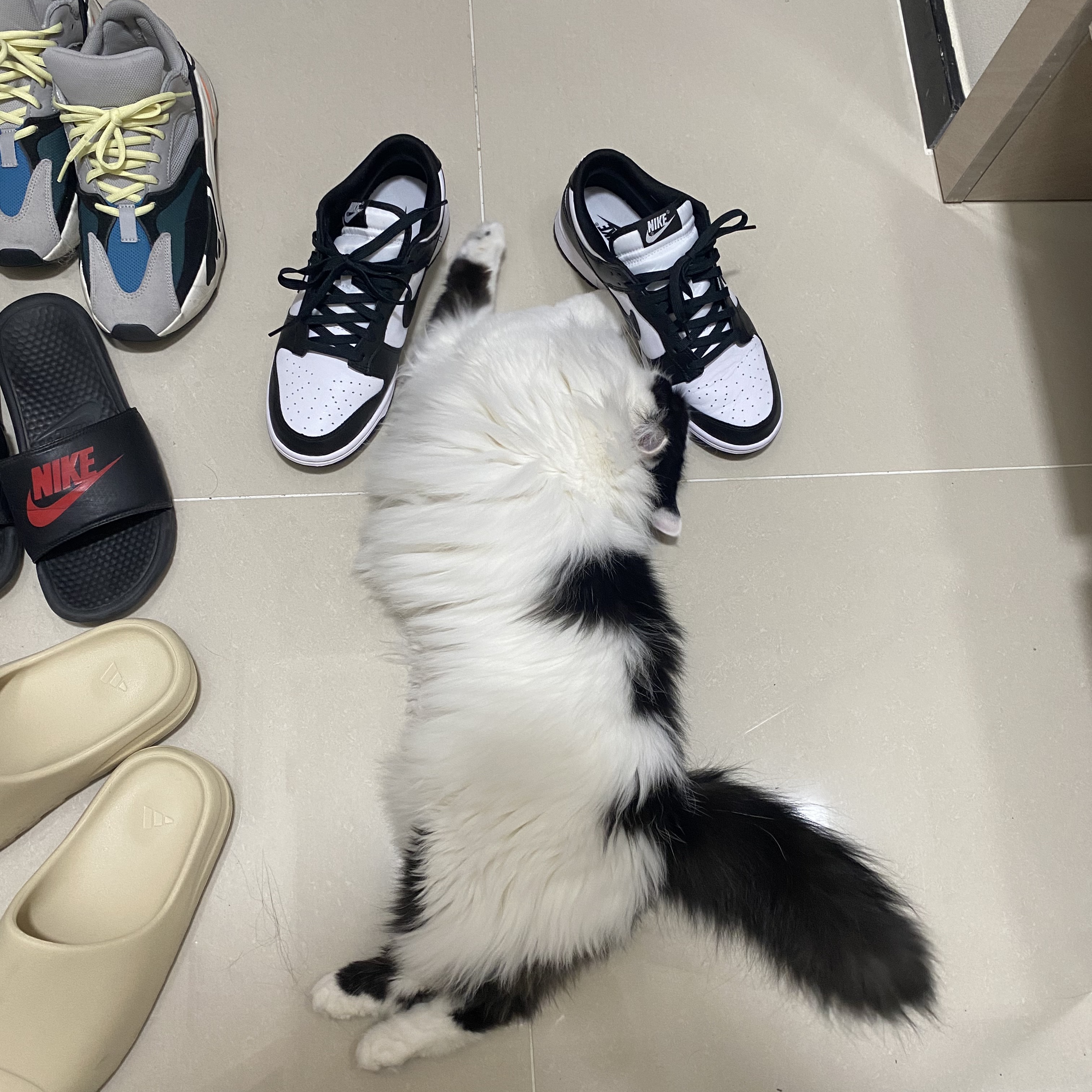 Adidas Yeezy Boost 700 Wave Runner Solid Grey 2021/2022, Nike Dunk Low Retro Black 착용 스타일