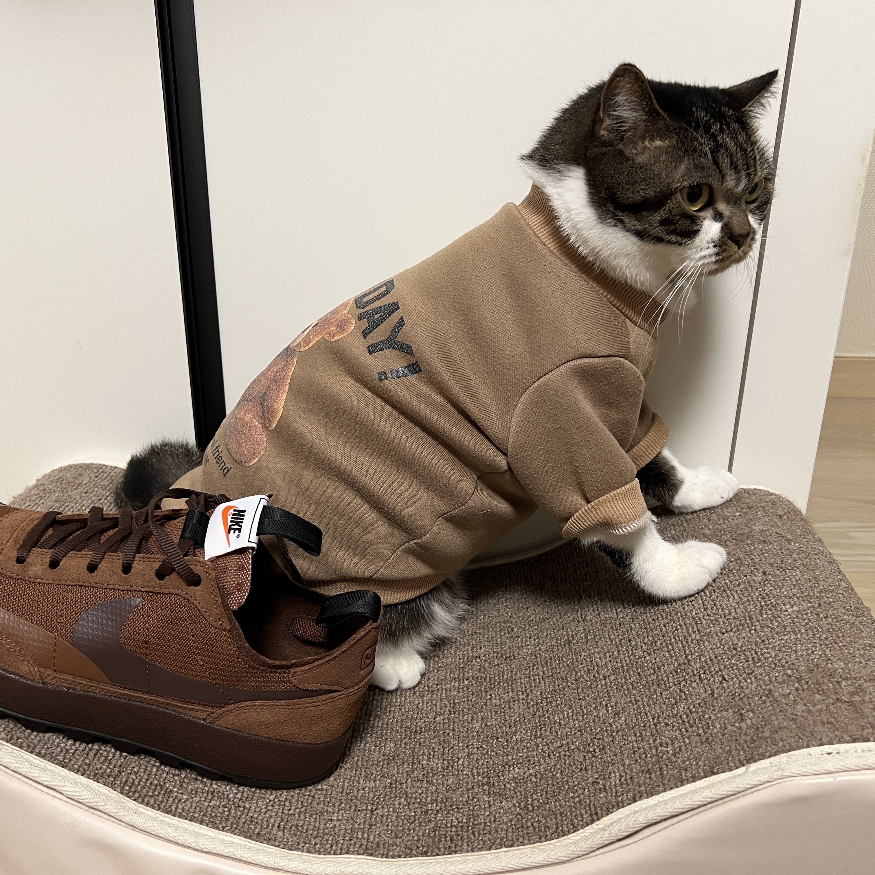 Nike x Tom Sachs General Purpose Shoe Brown 착용 스타일