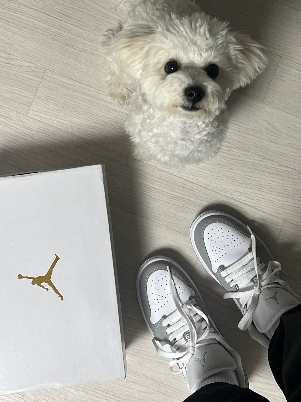 (W) Jordan 1 Low White Wolf Grey 착용 스타일 - 1