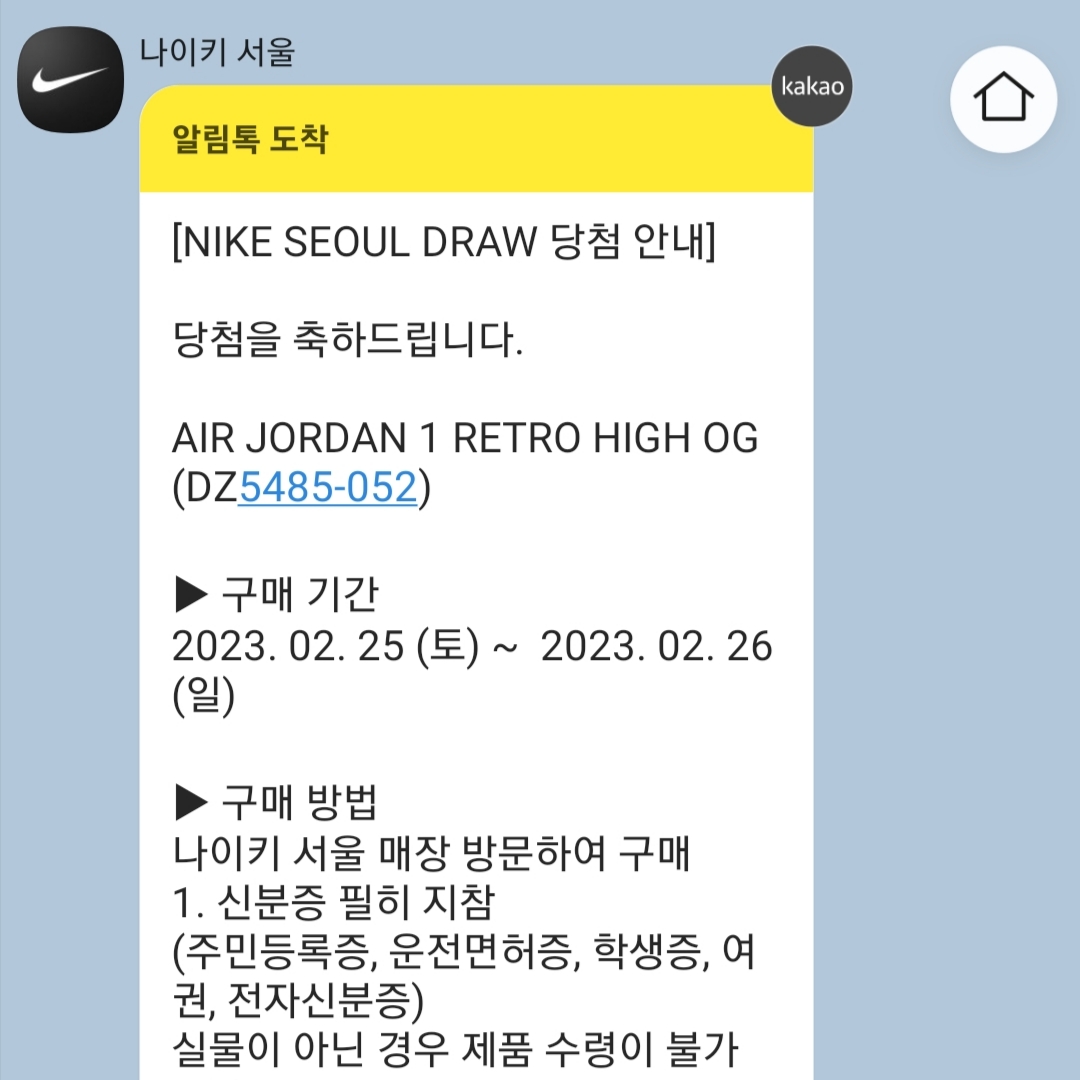 Jordan 1 Retro High OG White Cement 착용 스타일