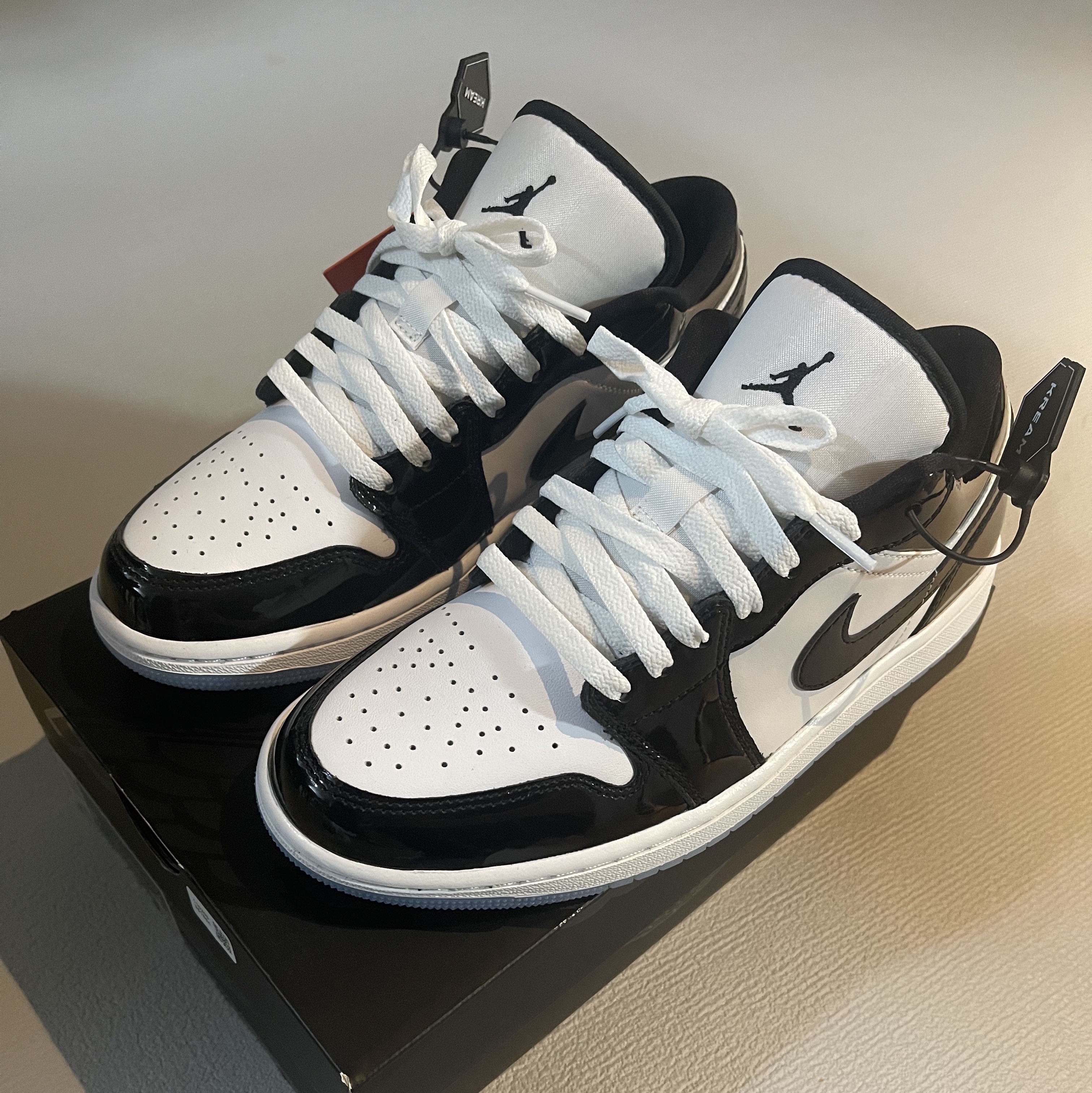 Jordan 1 Low SE Concord 착용 스타일