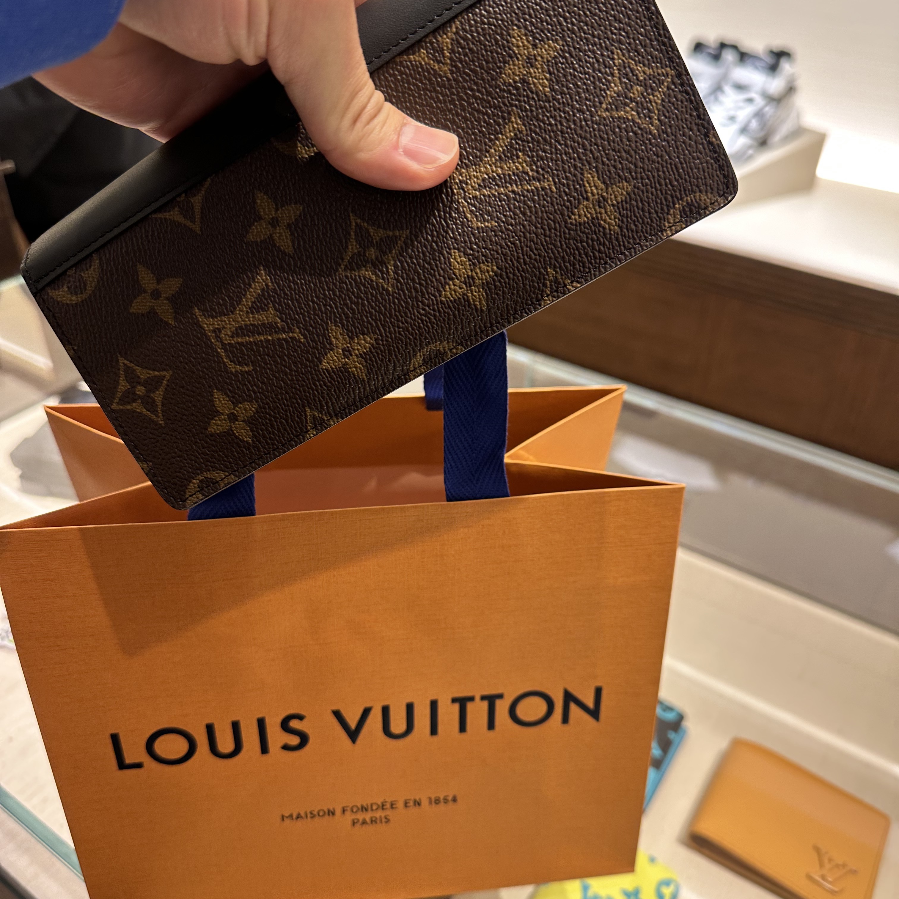 Louis Vuitton Pocket Organizer Monogram Playground Lime, Louis Vuitton Brazza Wallet Monogram 착용 스타일 - 2