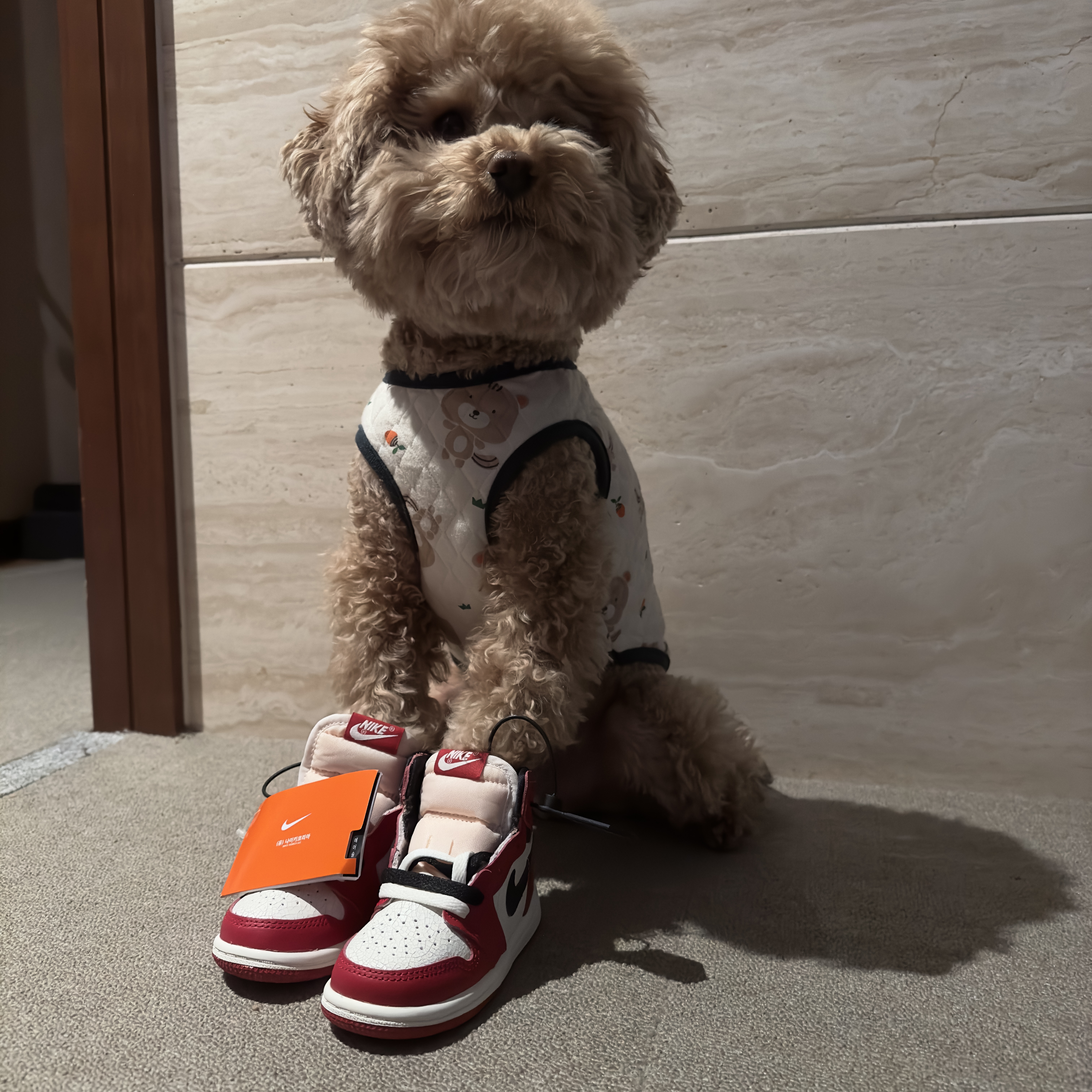 (TD) Jordan 1 Retro High OG Chicago 2022 착용 스타일 - 2