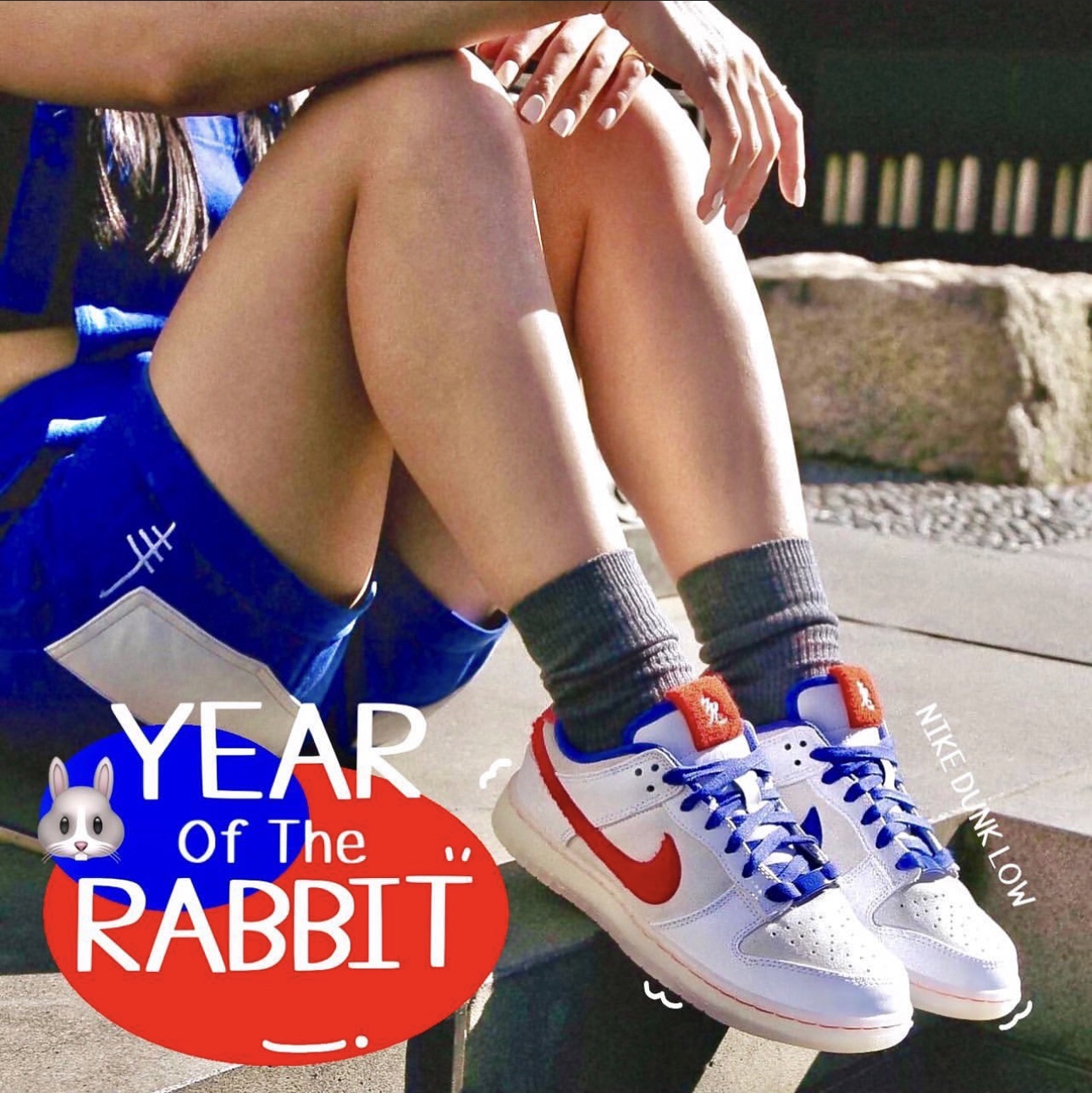 Nike Dunk Low Retro PRM Year of The Rabbit 착용 스타일 - 3