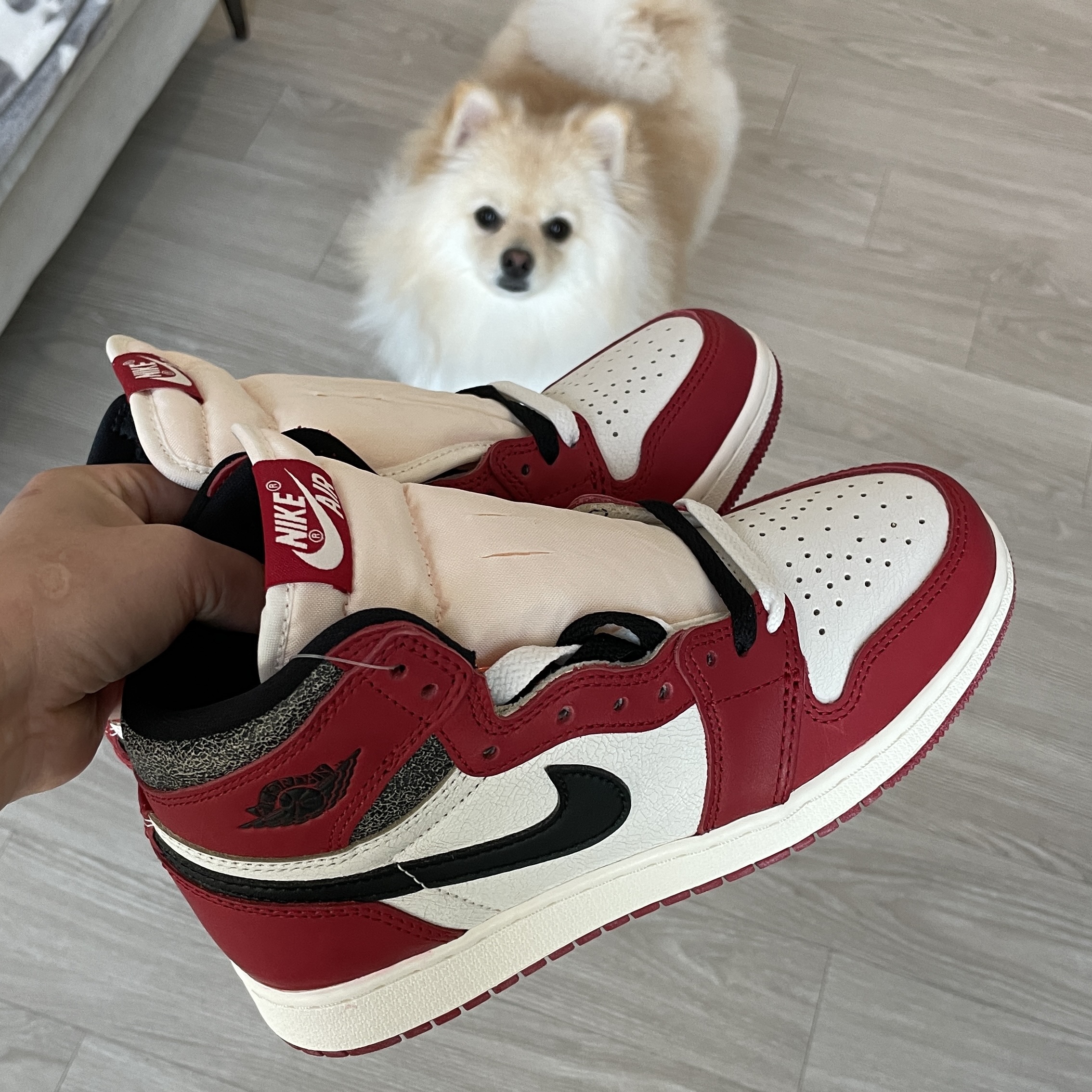 (GS) Jordan 1 Retro High OG Chicago 2022 착용 스타일