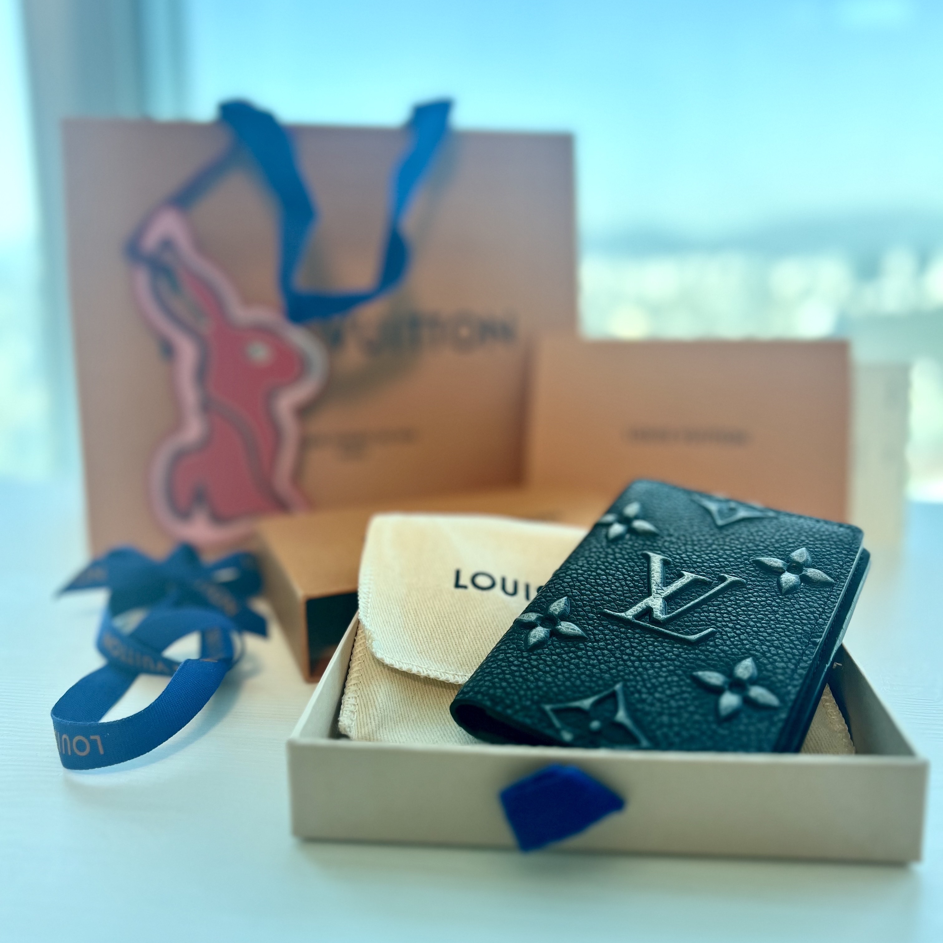 Louis Vuitton Pocket Organizer LV Faded Blue, Louis Vuitton Pocket Organizer LV Faded Charcoal 착용 스타일 - 2