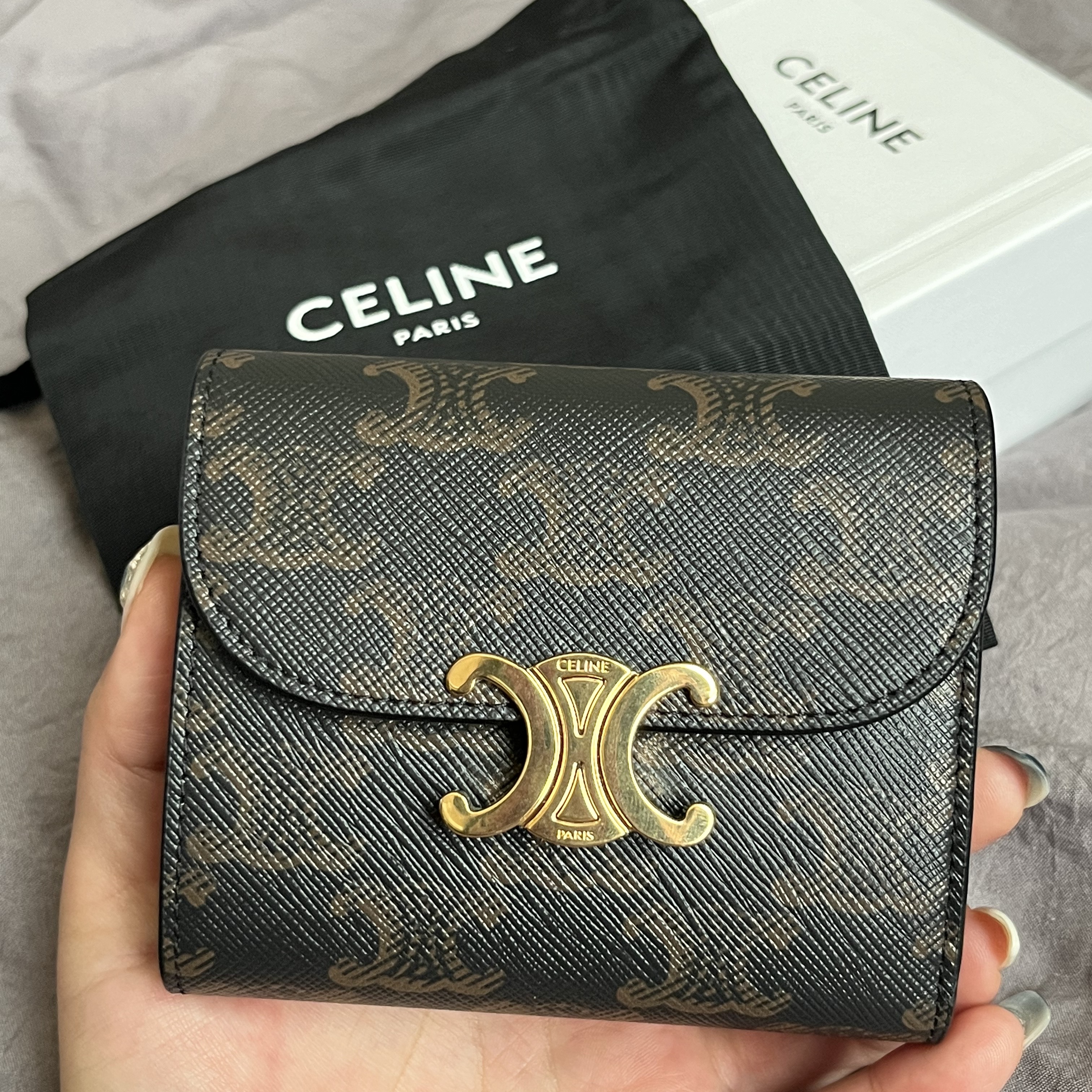 Celine Small Wallet Triomphe in Triomphe Canvas Tan 착용 스타일