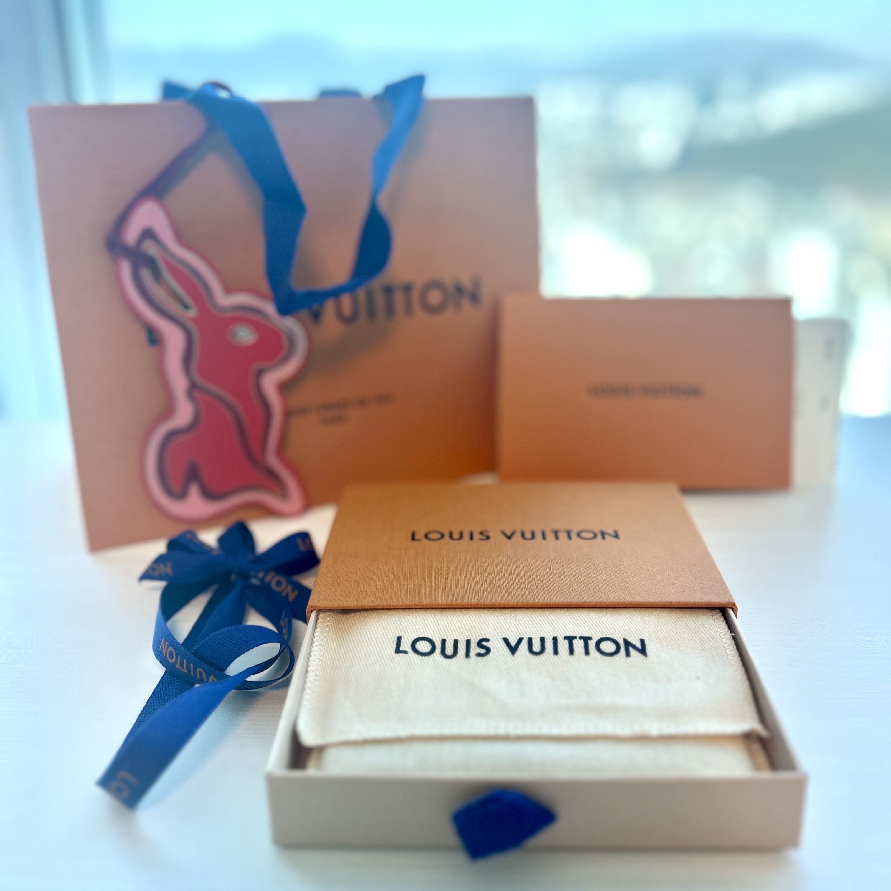 Louis Vuitton Pocket Organizer LV Faded Blue, Louis Vuitton Pocket Organizer LV Faded Charcoal 착용 스타일 - 1