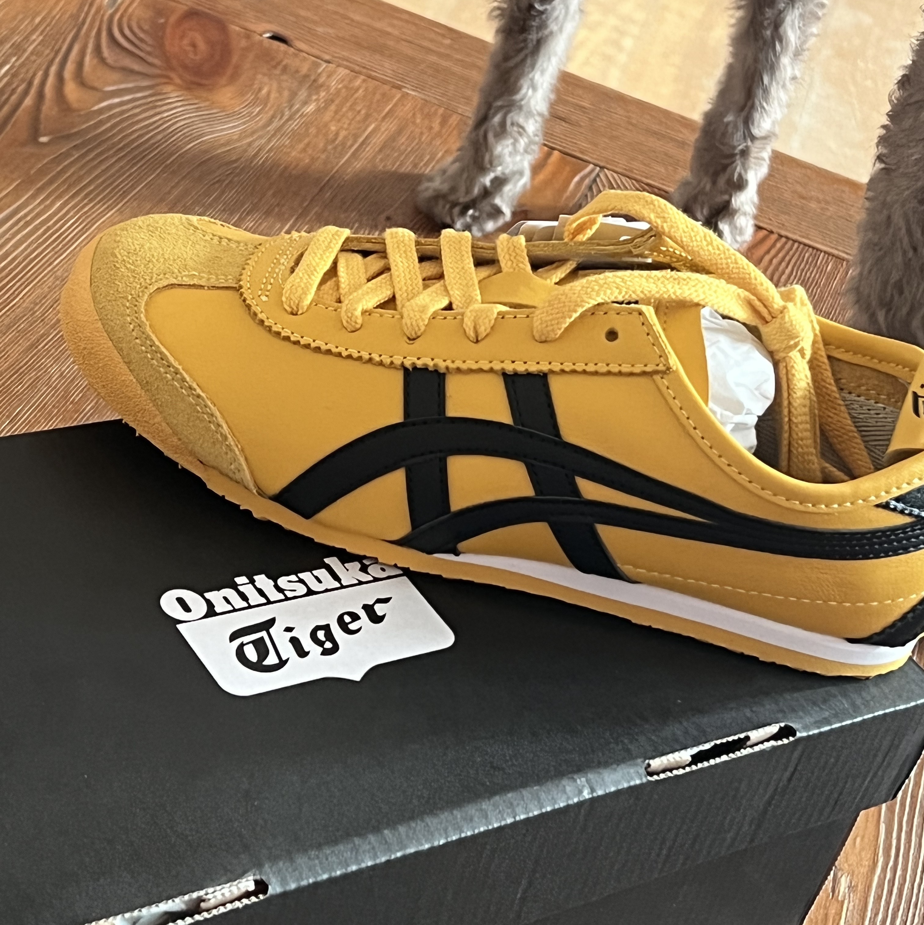 Onitsuka Tiger Mexico 66 Yellow Black 착용 스타일 - 4