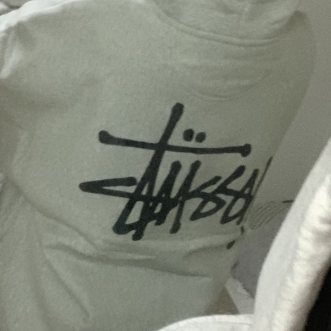 Stussy Basic Stussy Zip Hoodie Ash Heather 2022 착용 스타일