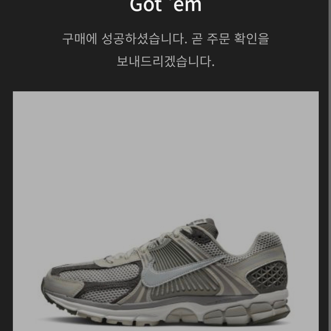Nike Zoom Vomero 5 PRM Light Iron Ore and Flat Fewter 착용 스타일 - 1