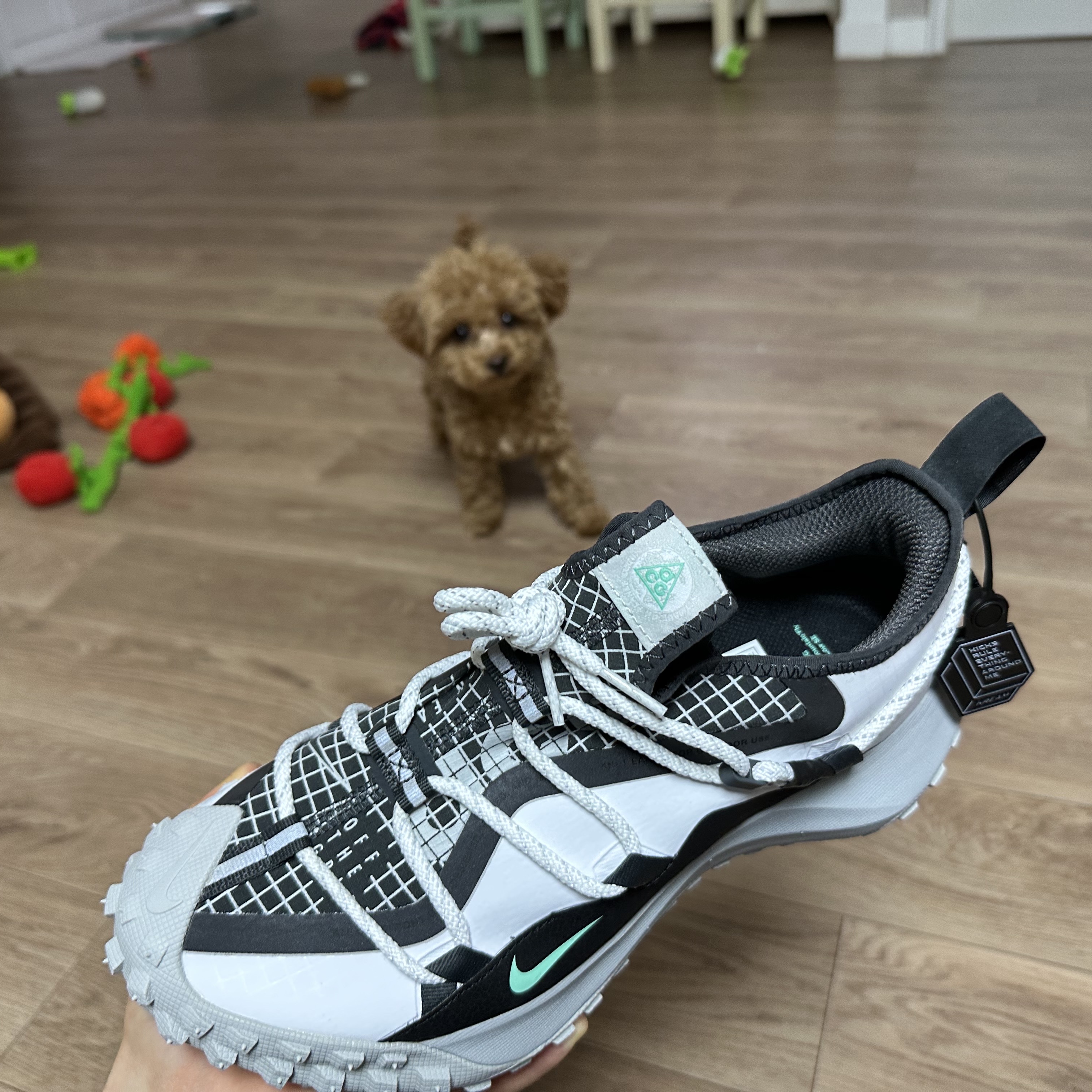 Nike ACG Mountain Fly Low SE White and Black 착용 스타일 - 2