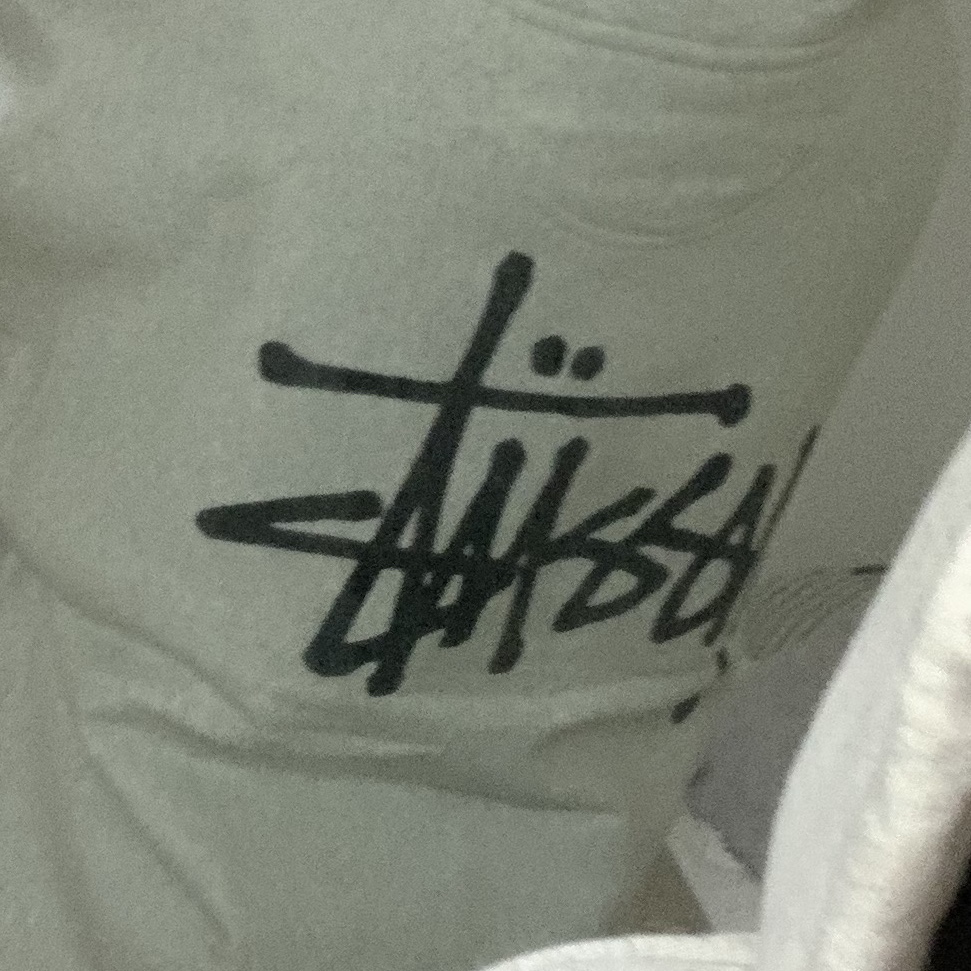 Stussy Basic Stussy Zip Hoodie Ash Heather 2022 착용 스타일