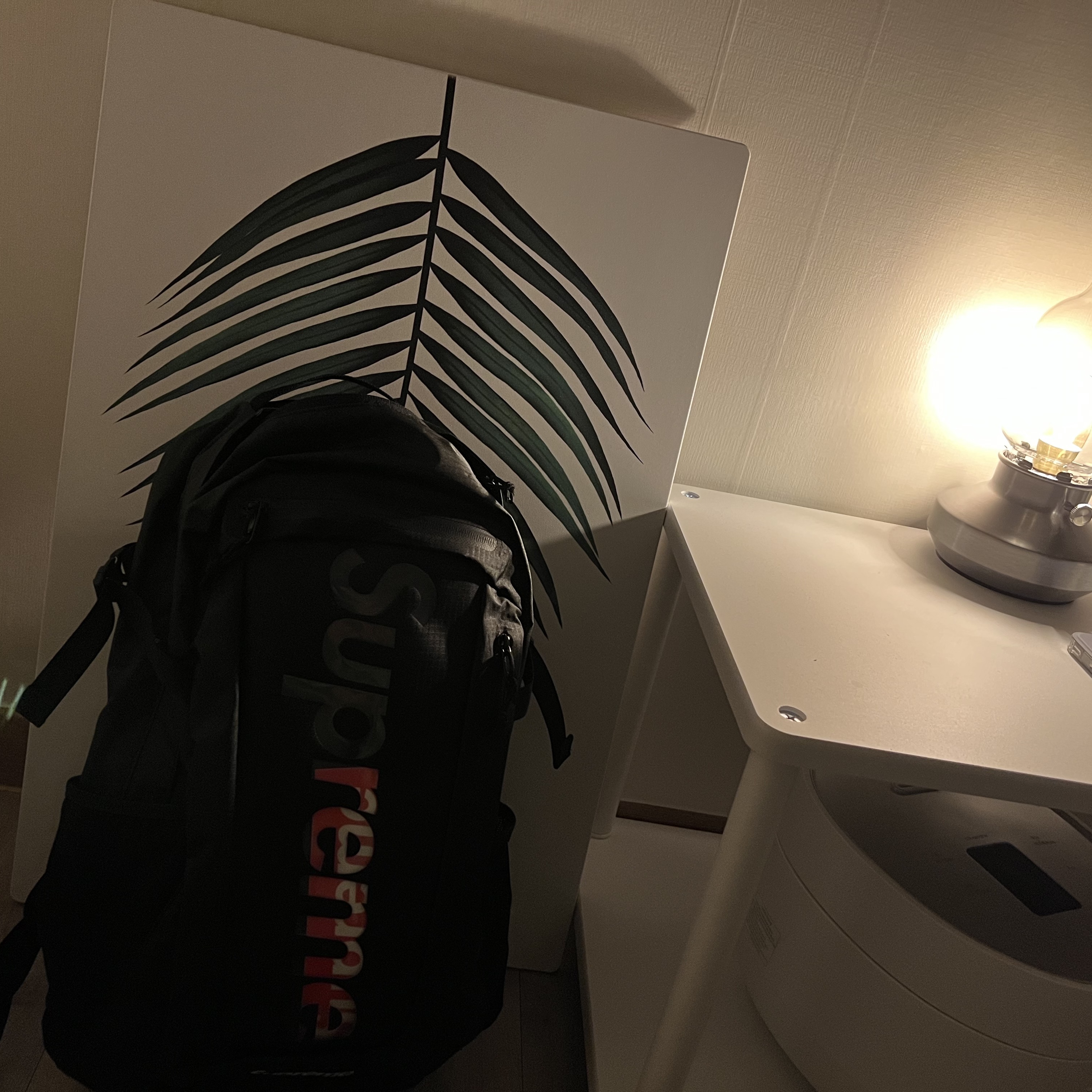 Supreme Backpack Black - 21SS 착용 스타일