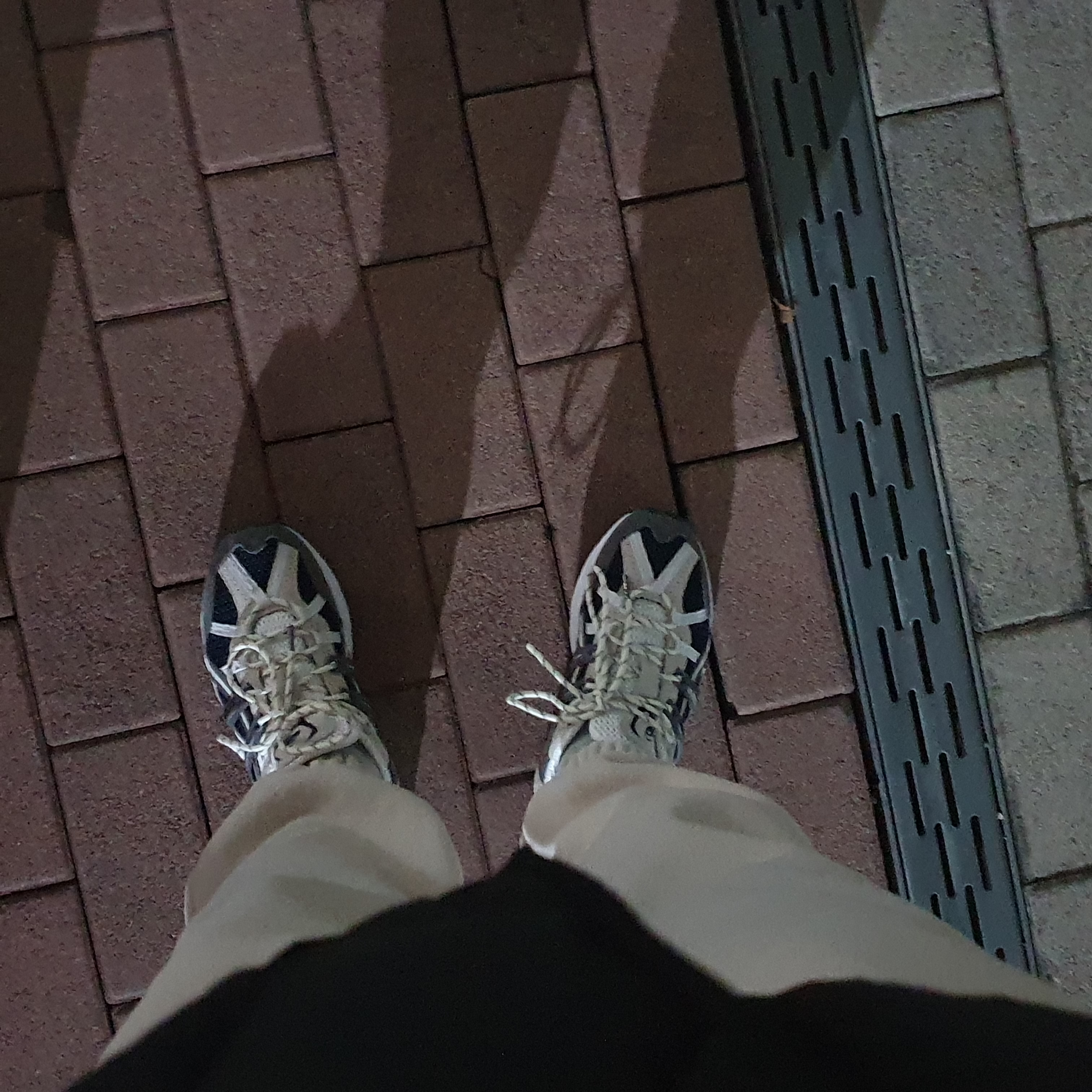 Asics Gel-Sonoma 15-50 French Blue 착용 스타일