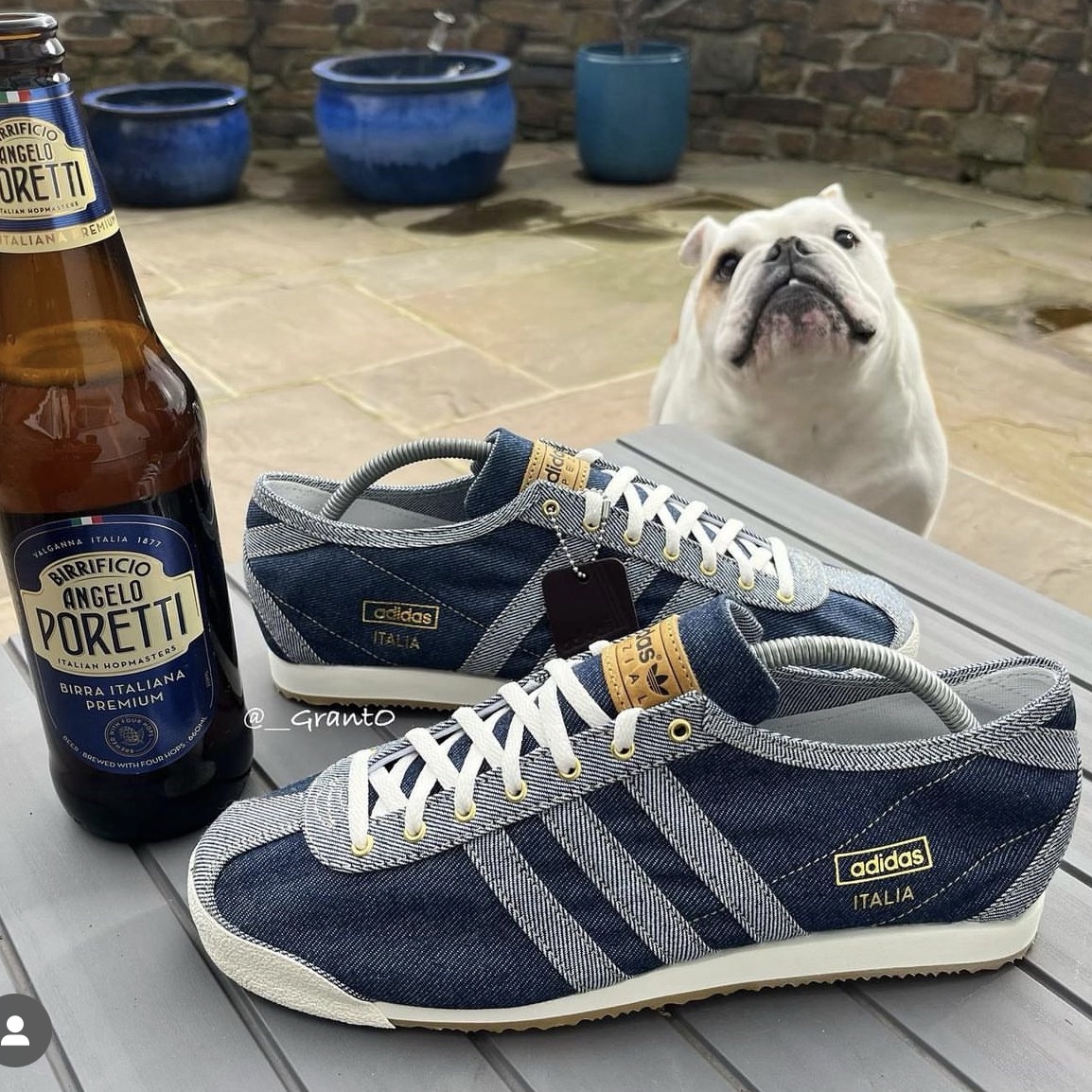 Adidas Denim Italia Spezial Blue Bird 착용 스타일