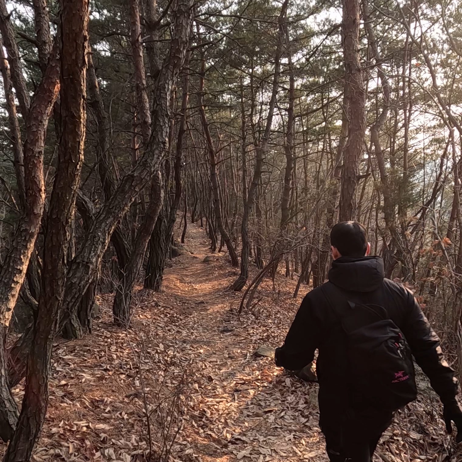Arc'teryx Atom LT Hoody Black, Arc'teryx System A Quiver Crossbody Pack Black Ultra Violet 착용 스타일 - 4