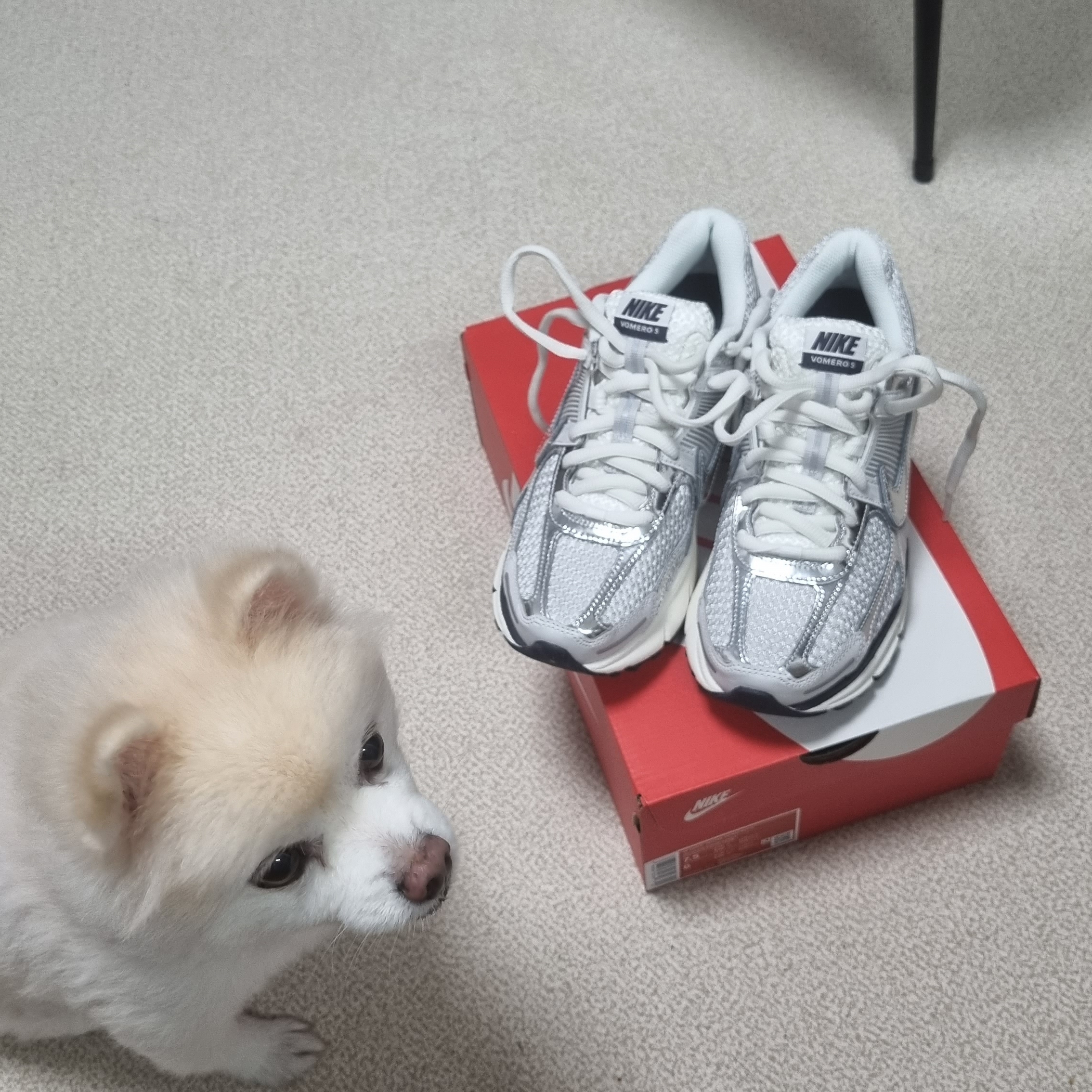 (W) Nike Zoom Vomero 5 Photon Dust and Metallic Silver 착용 스타일