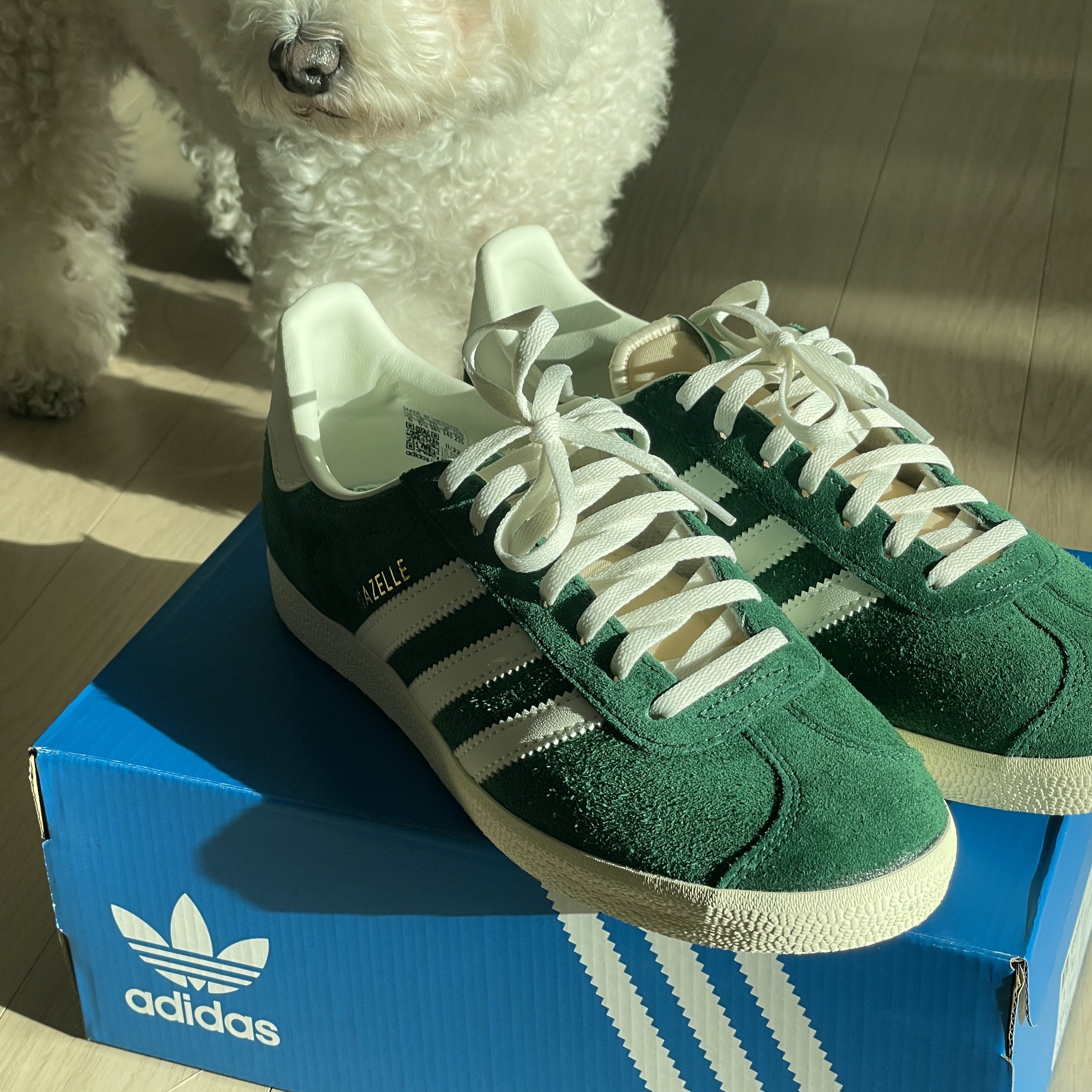 Adidas Gazelle Dark Green Cream White 착용 스타일 - 2